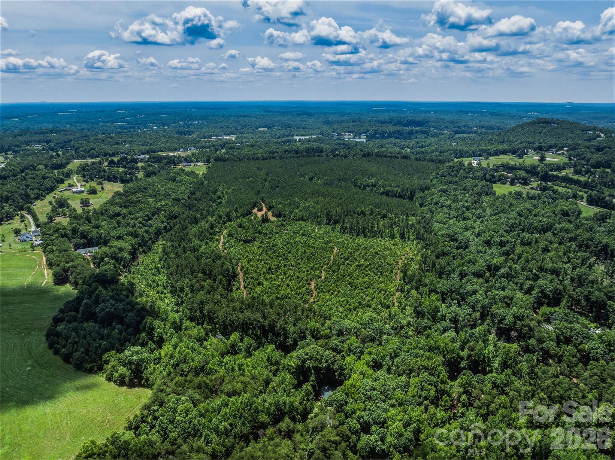 6783 Peniel Road, Tryon, photo 6 of 8