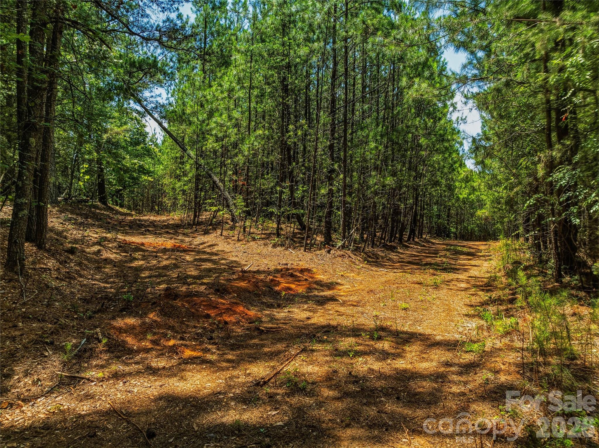 6783 Peniel Road, Tryon, photo 7 of 8