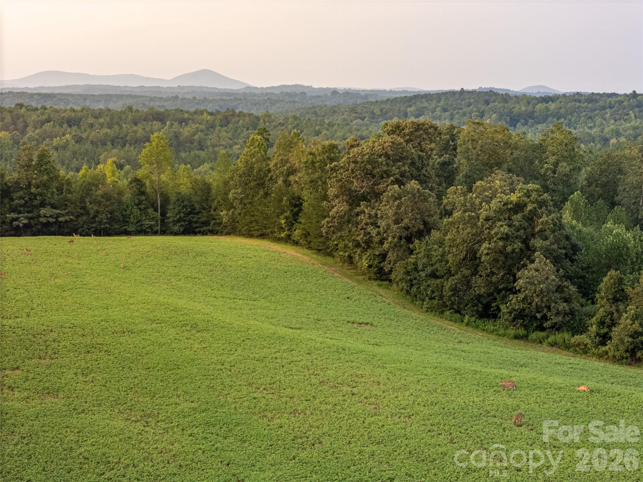 4013 Nc Hwy 18 Highway, Vale, photo 2 of 8