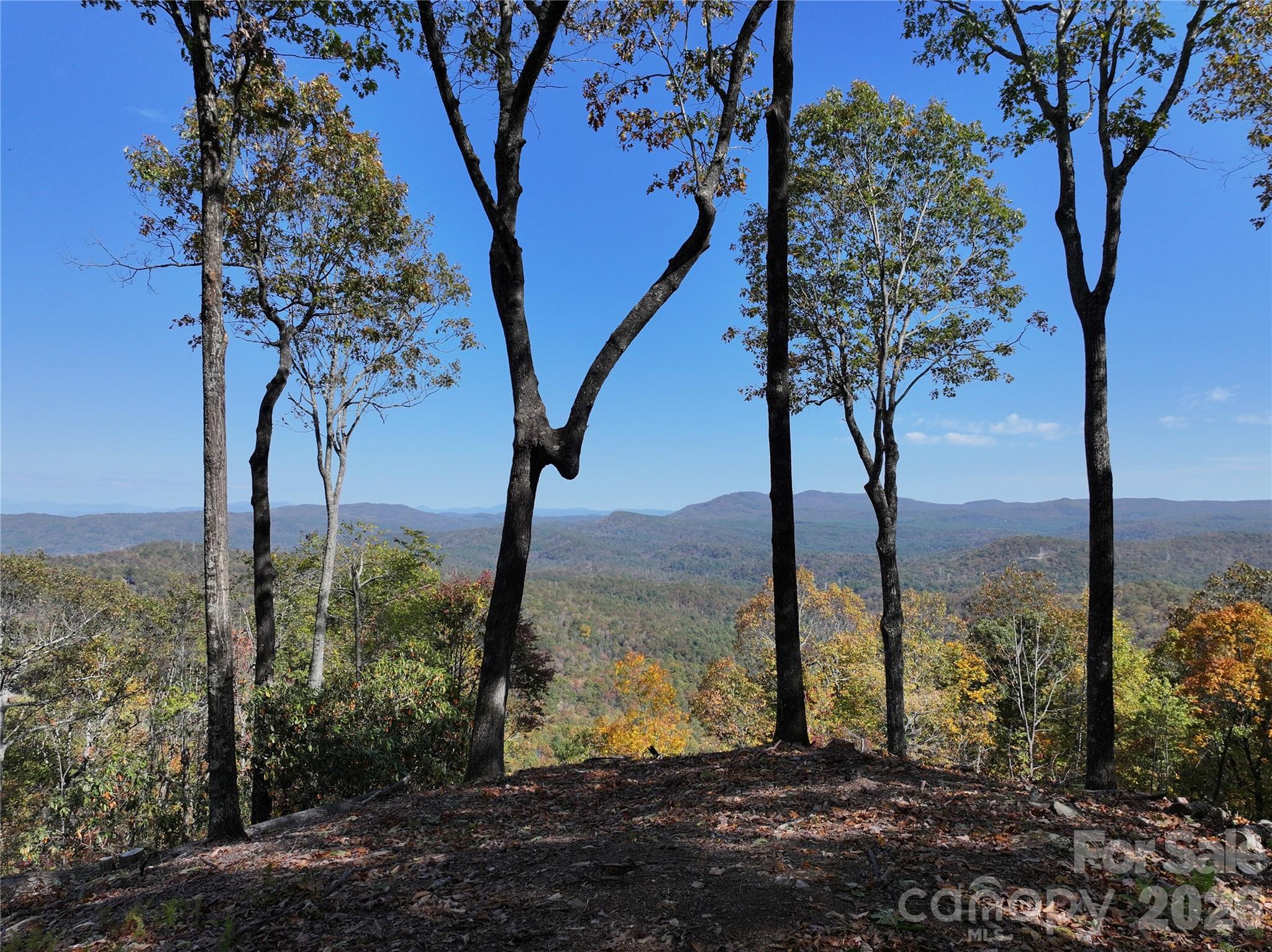 243 Ridgeline Drive, Brevard, photo 6 of 8