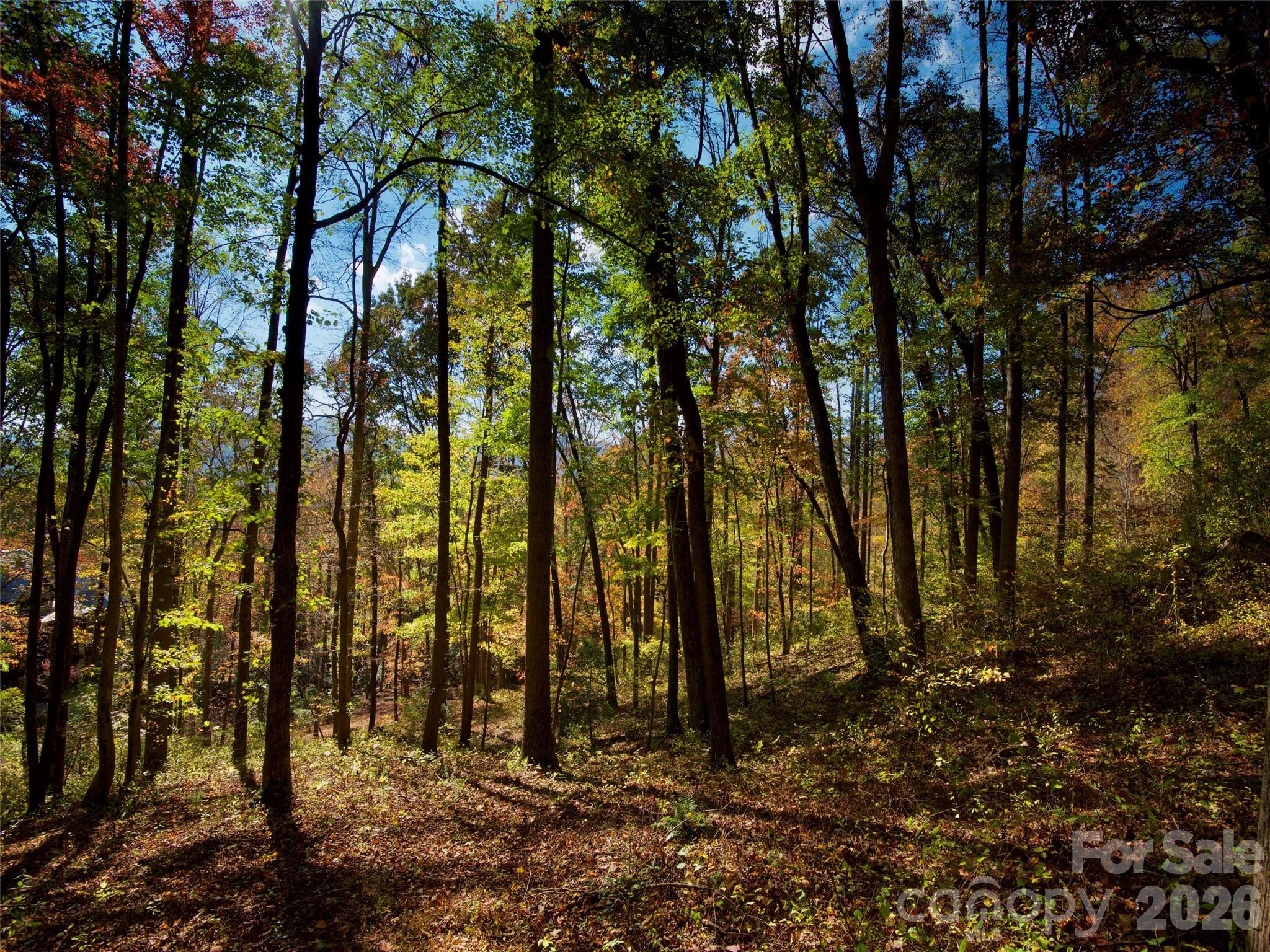 841 Blackthorne Lane, Arden, photo 8 of 8