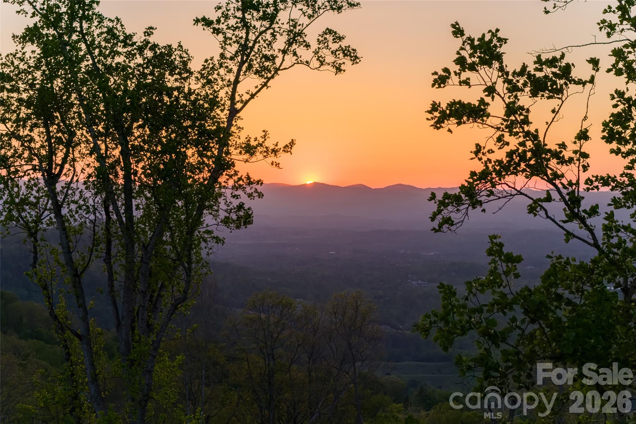 99999 Elk Mountain Scenic Highway #1, Asheville, photo 2 of 8