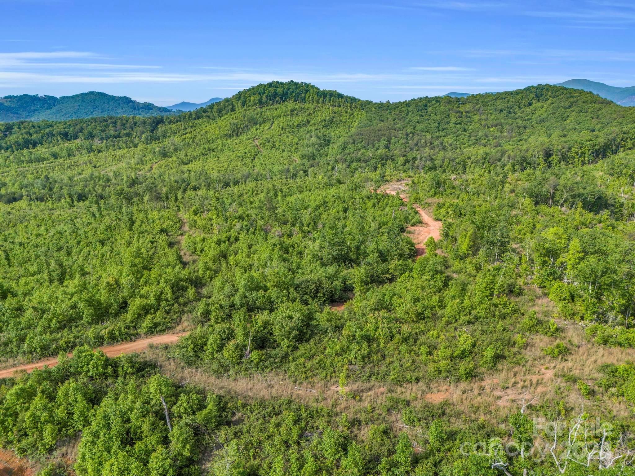 0 Bills Creek Road, Lake Lure, photo 8 of 8