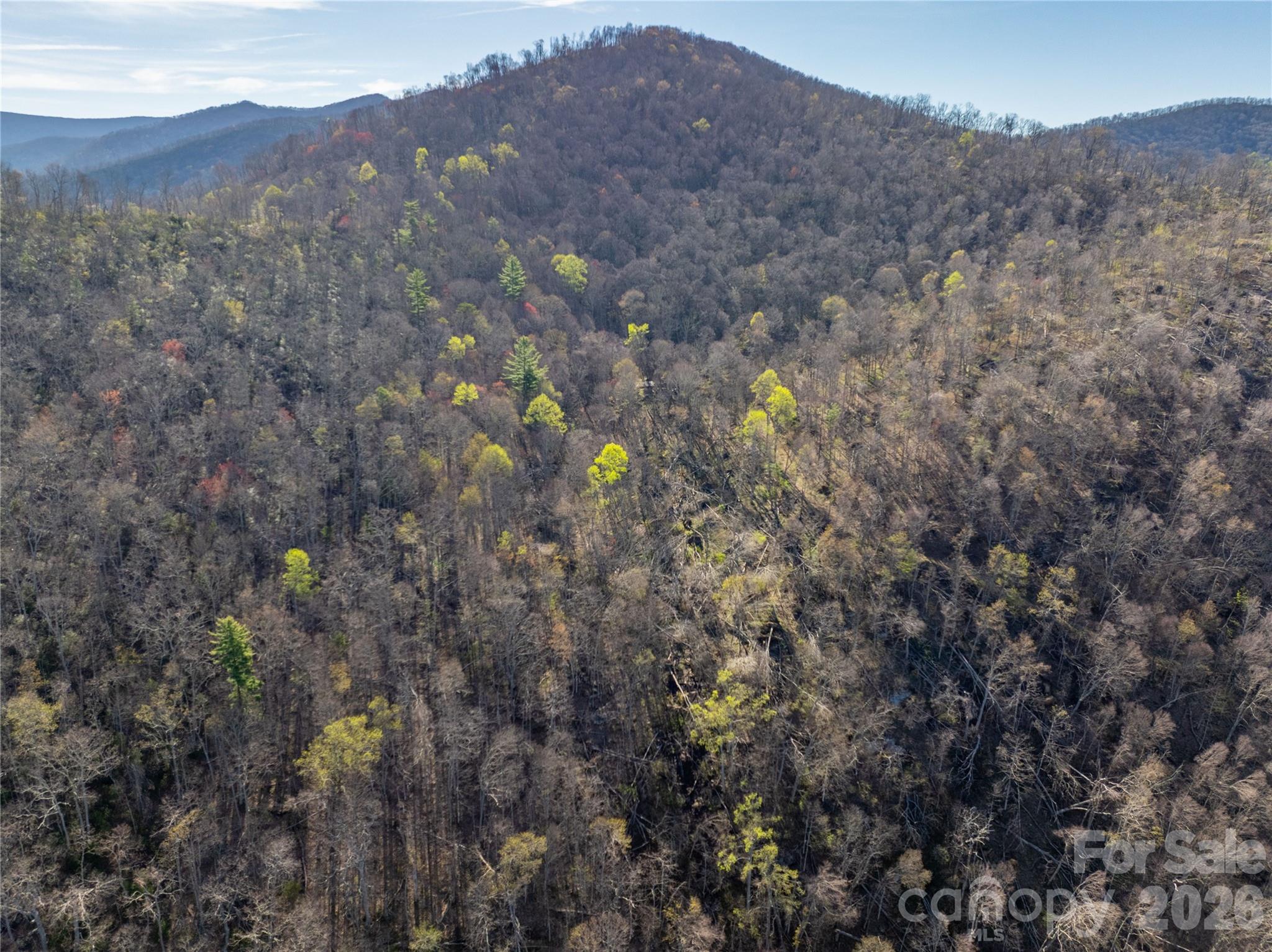 48 Benfield Road, Weaverville, photo 8 of 8