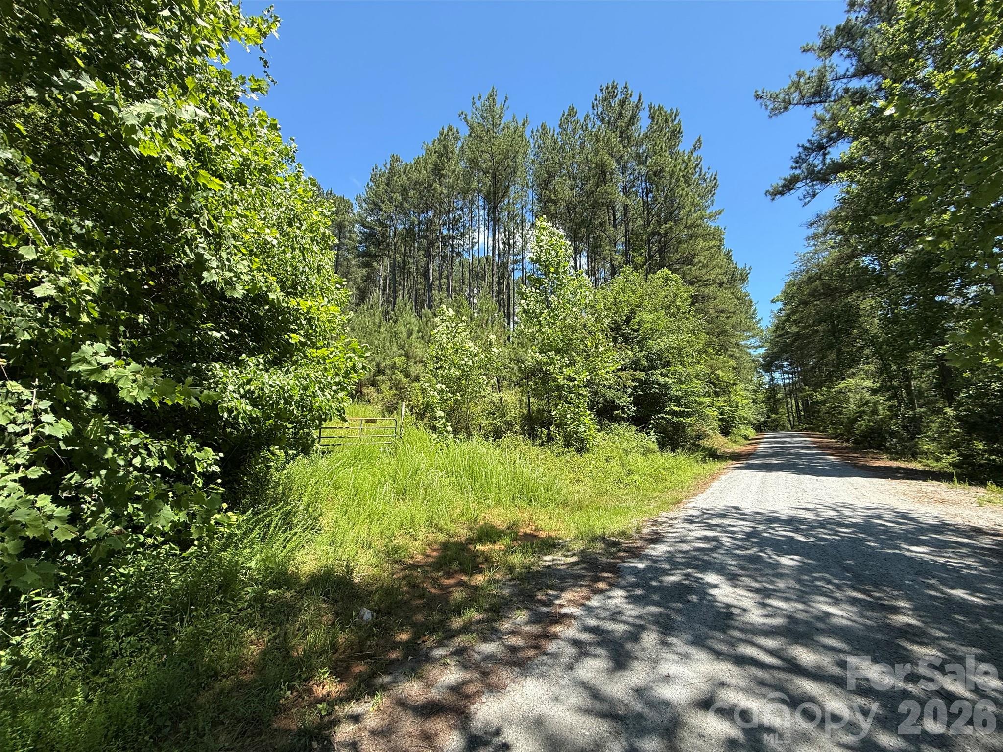 99999 Thompson Lake Road, Rutherfordton, photo 7 of 8
