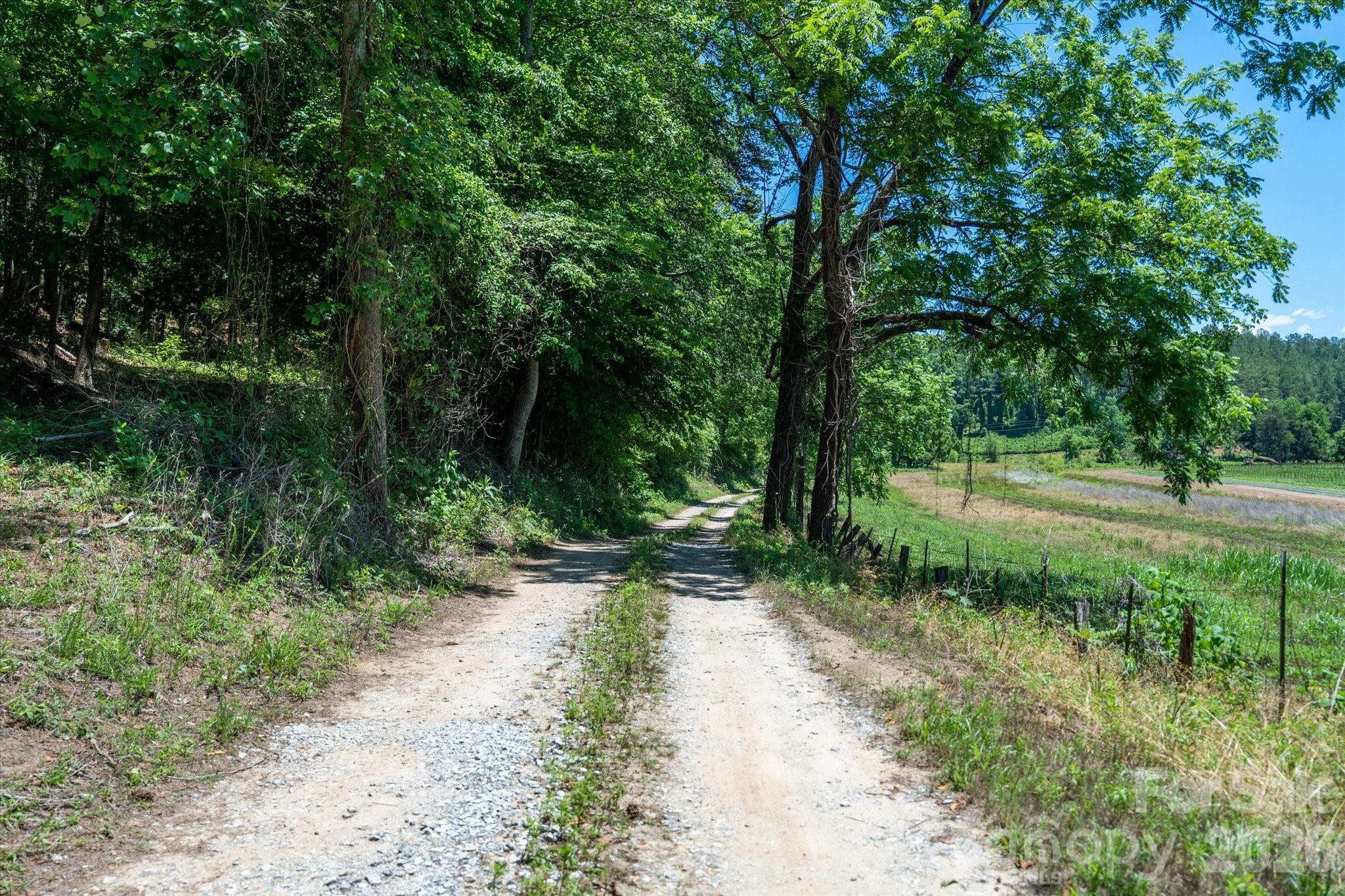 99999 Thompson Lake Road, Rutherfordton, photo 5 of 8