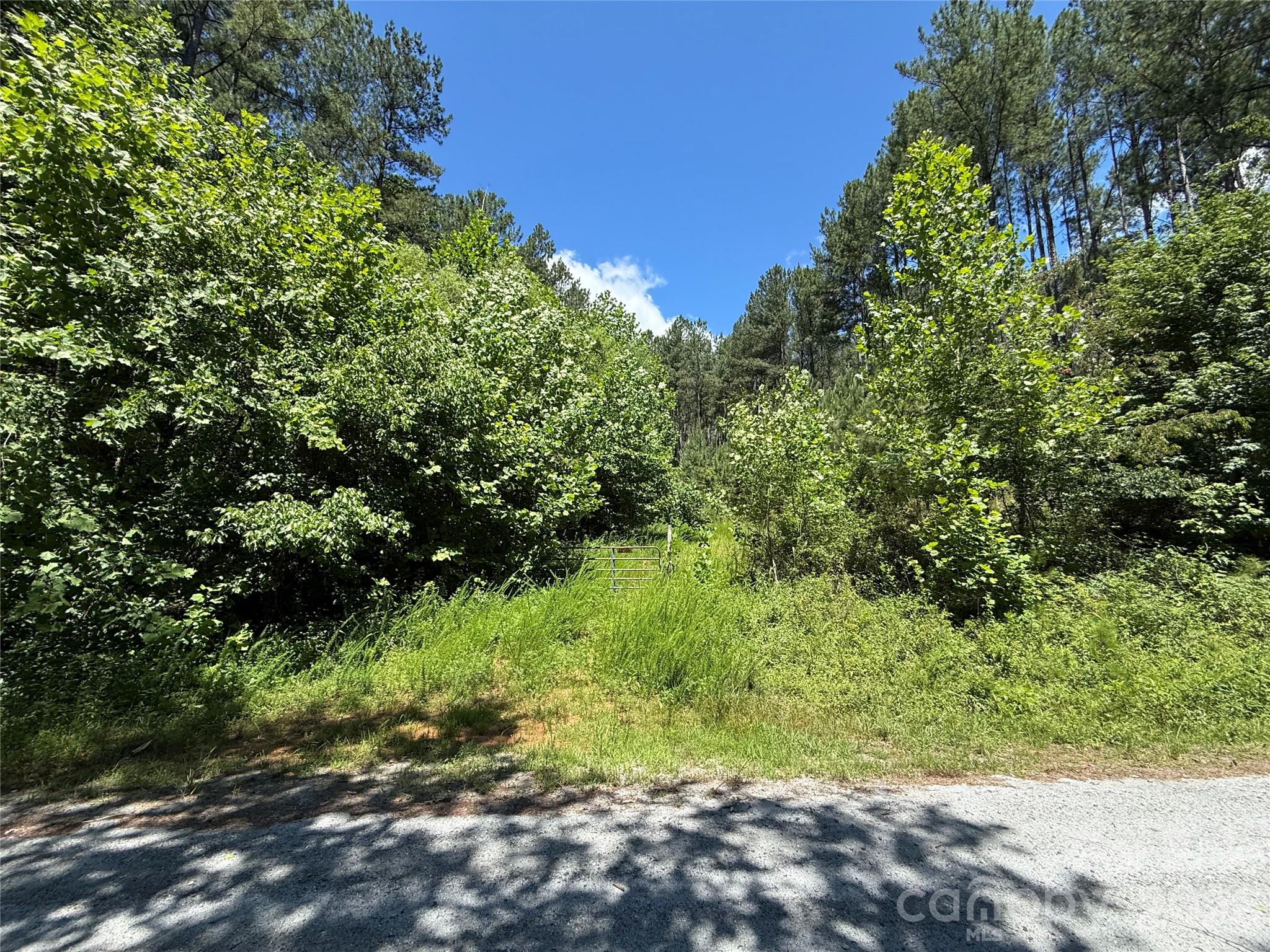 99999 Thompson Lake Road, Rutherfordton, photo 8 of 8