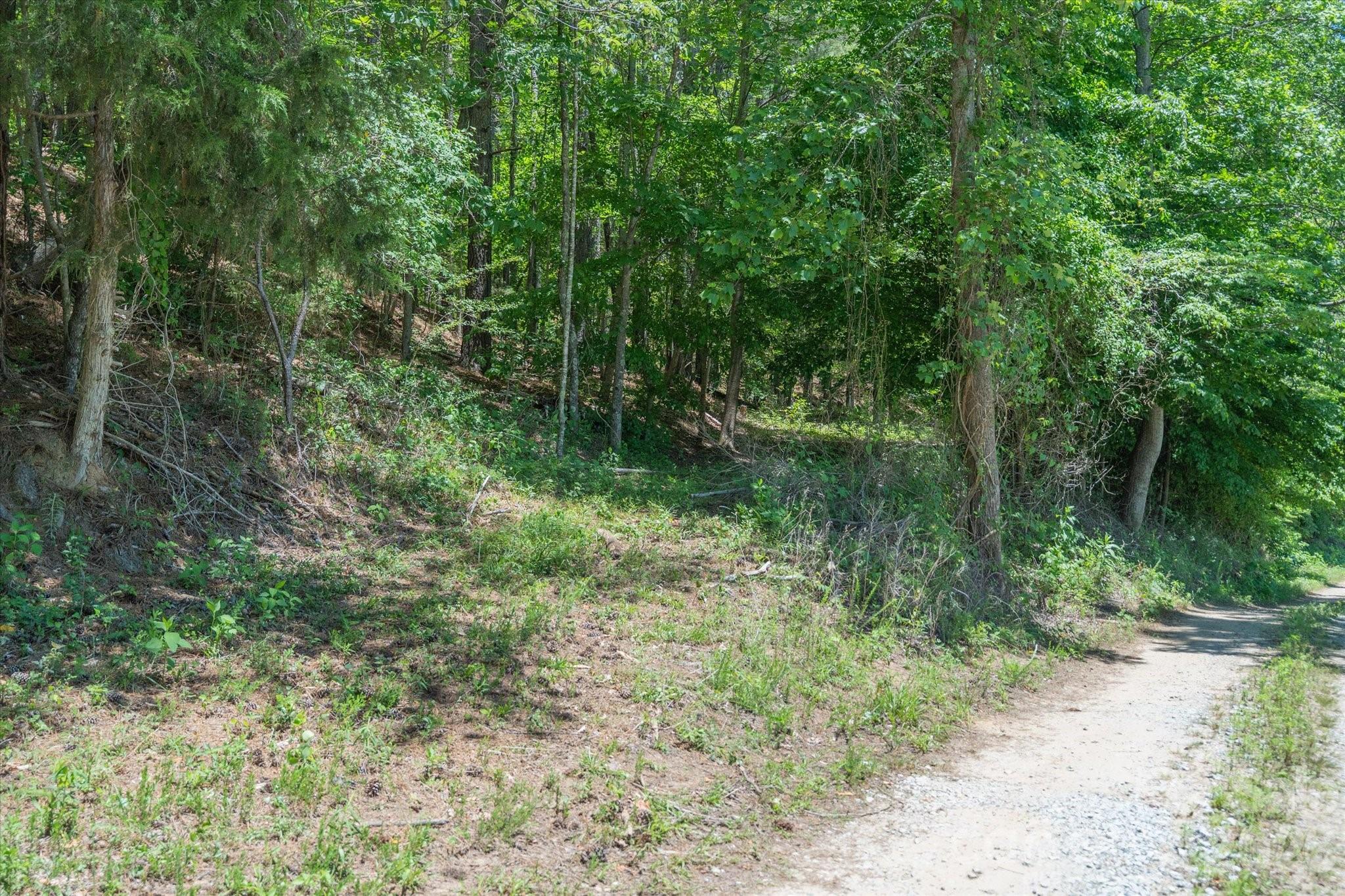 99999 Thompson Lake Road, Rutherfordton, photo 6 of 8