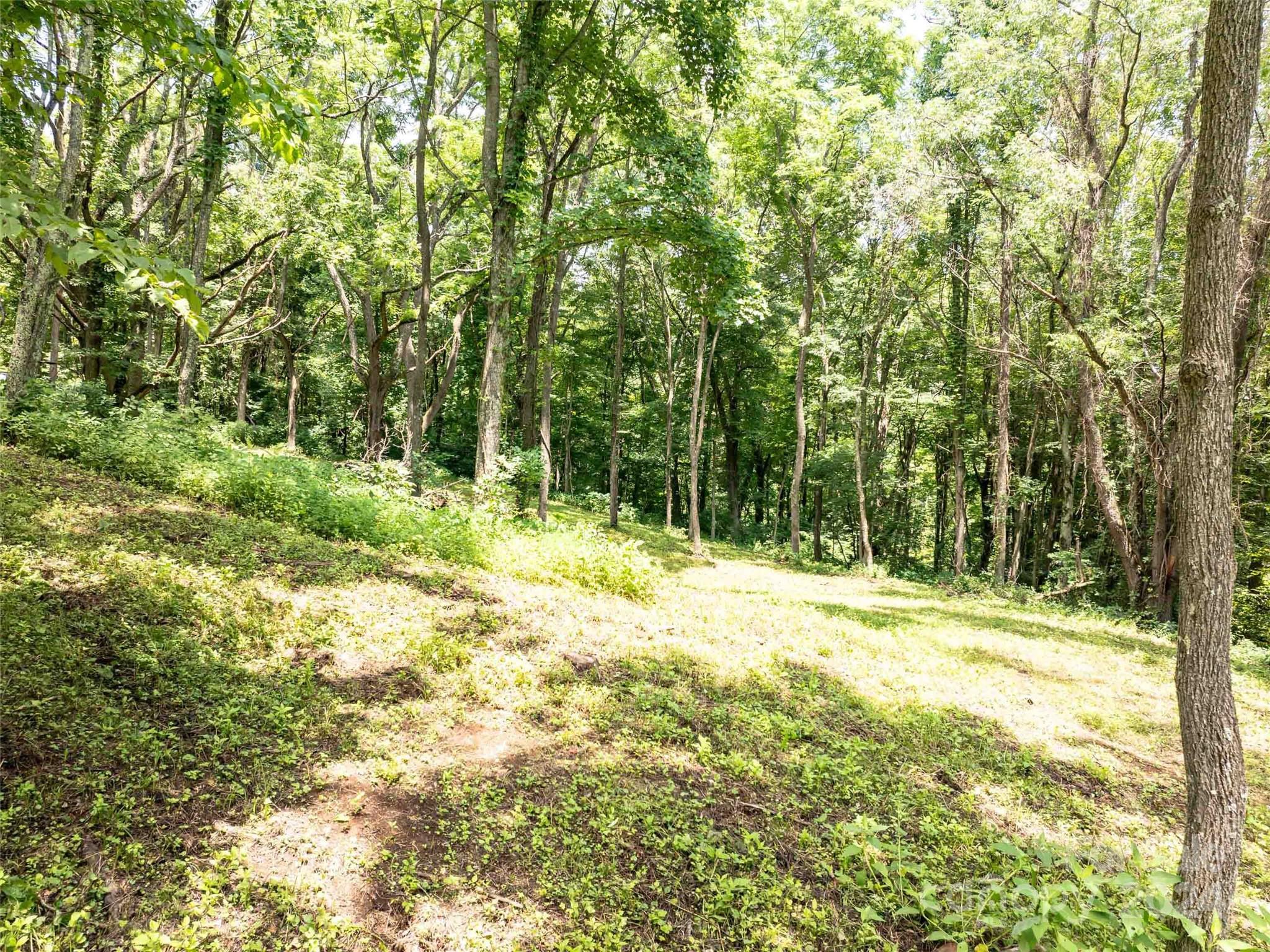 00 Hardy Branch Trail, Waynesville, photo 6 of 8