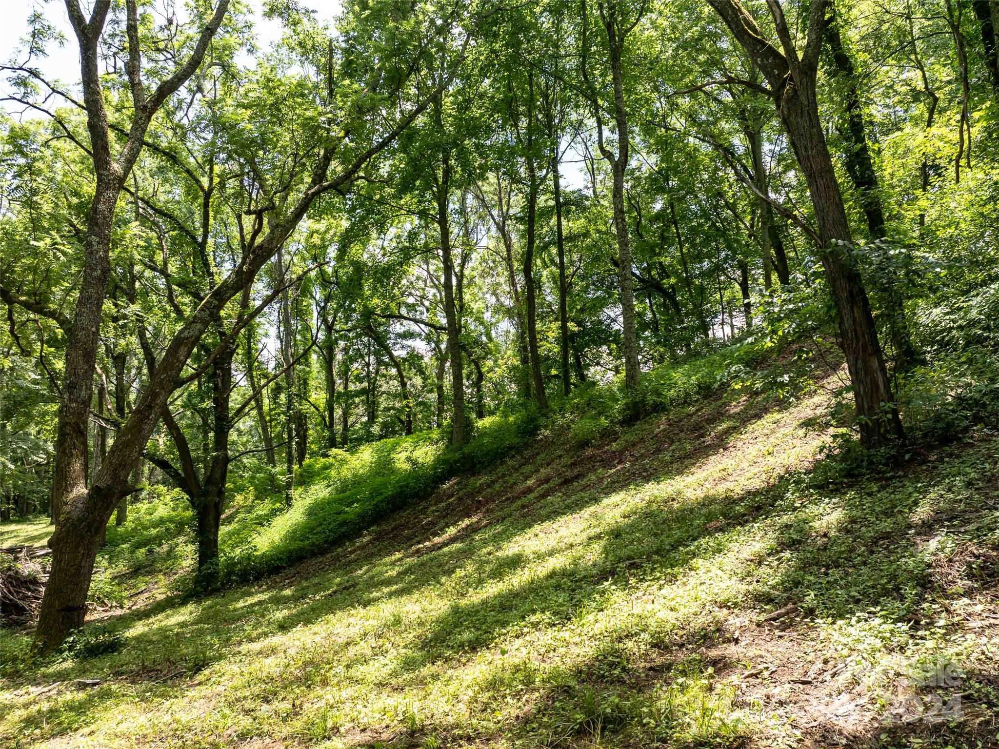 00 Hardy Branch Trail, Waynesville, photo 2 of 8