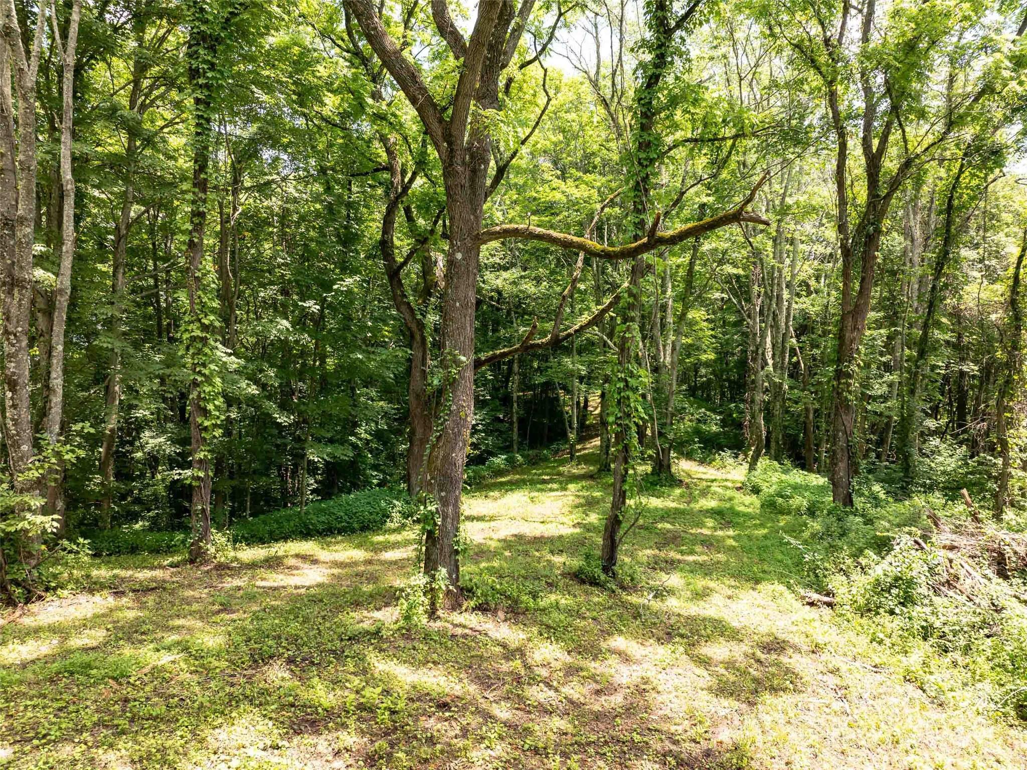 00 Hardy Branch Trail, Waynesville, photo 5 of 8