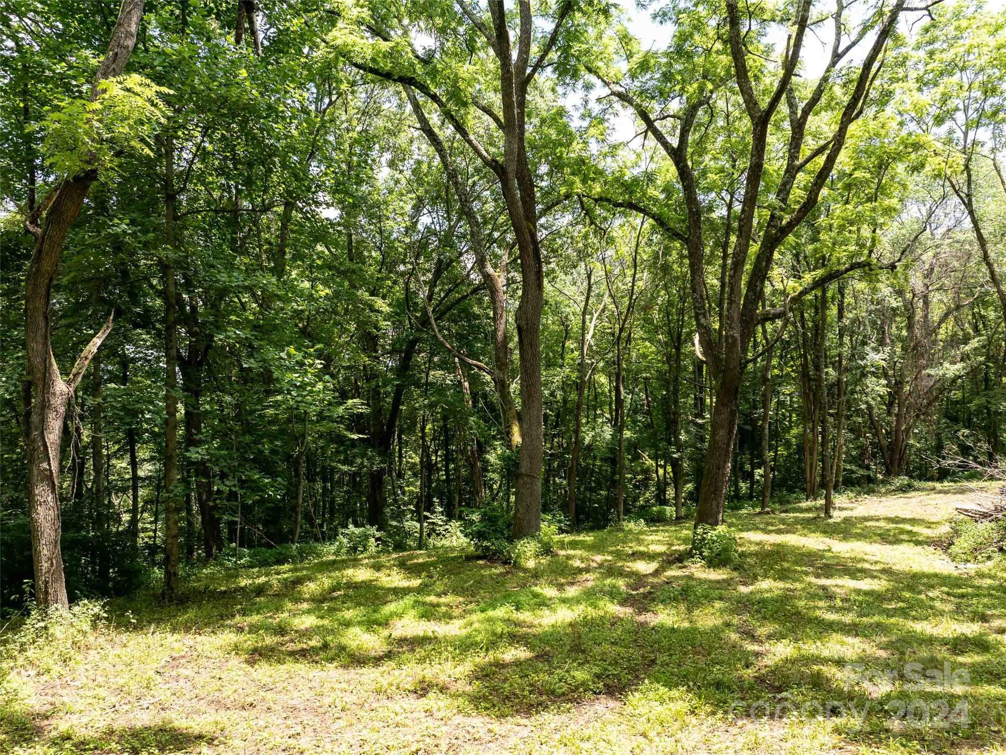 00 Hardy Branch Trail, Waynesville, photo 3 of 8