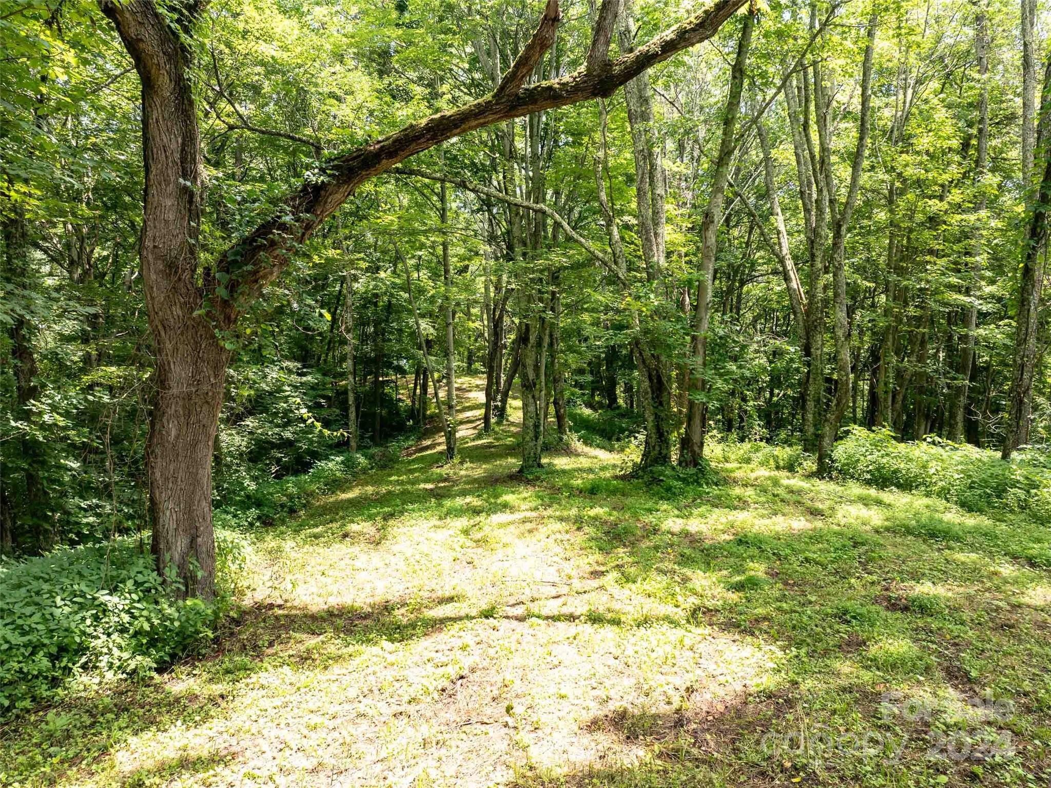 00 Hardy Branch Trail, Waynesville, photo 7 of 8