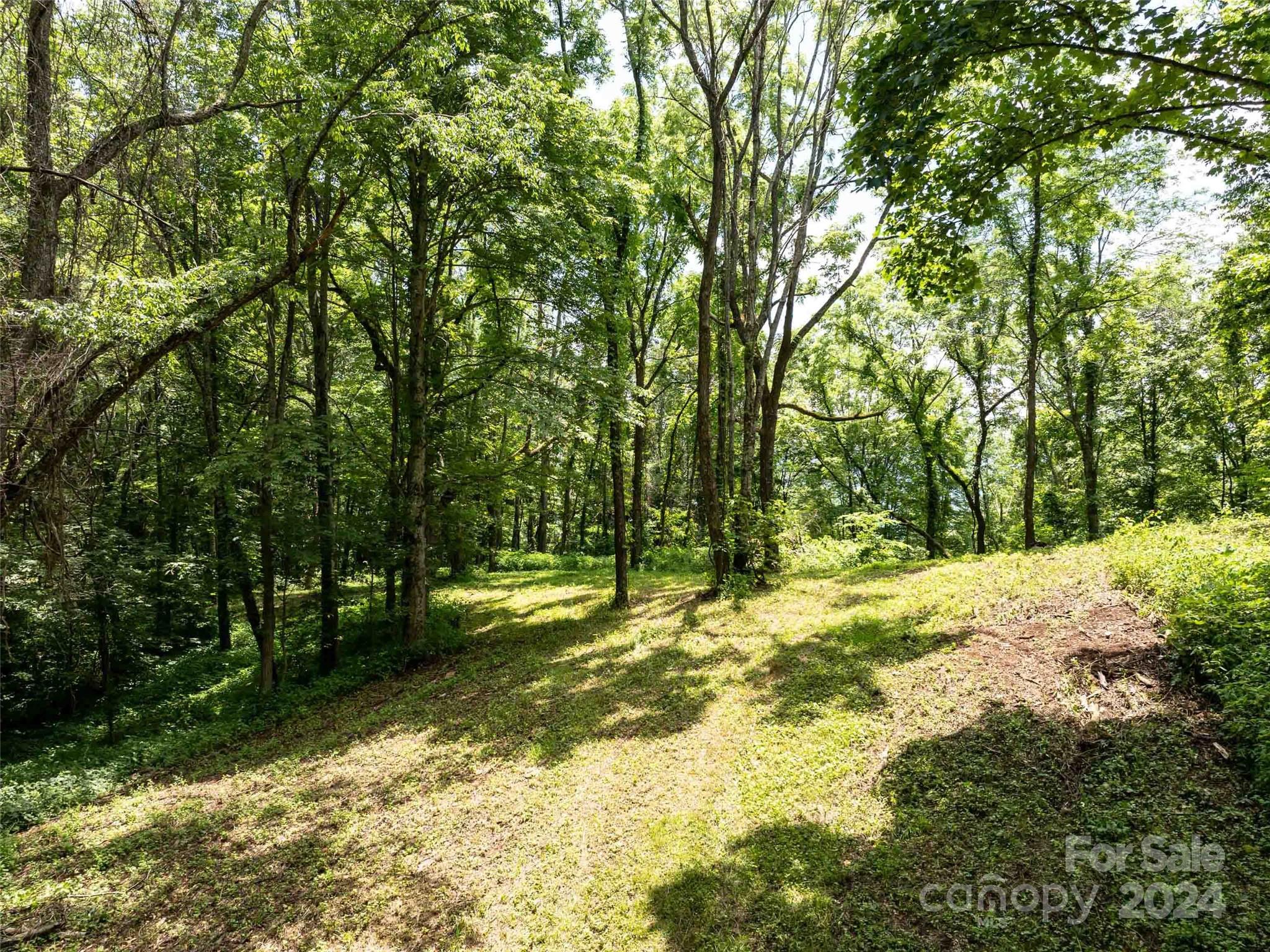 00 Hardy Branch Trail, Waynesville, photo 4 of 8
