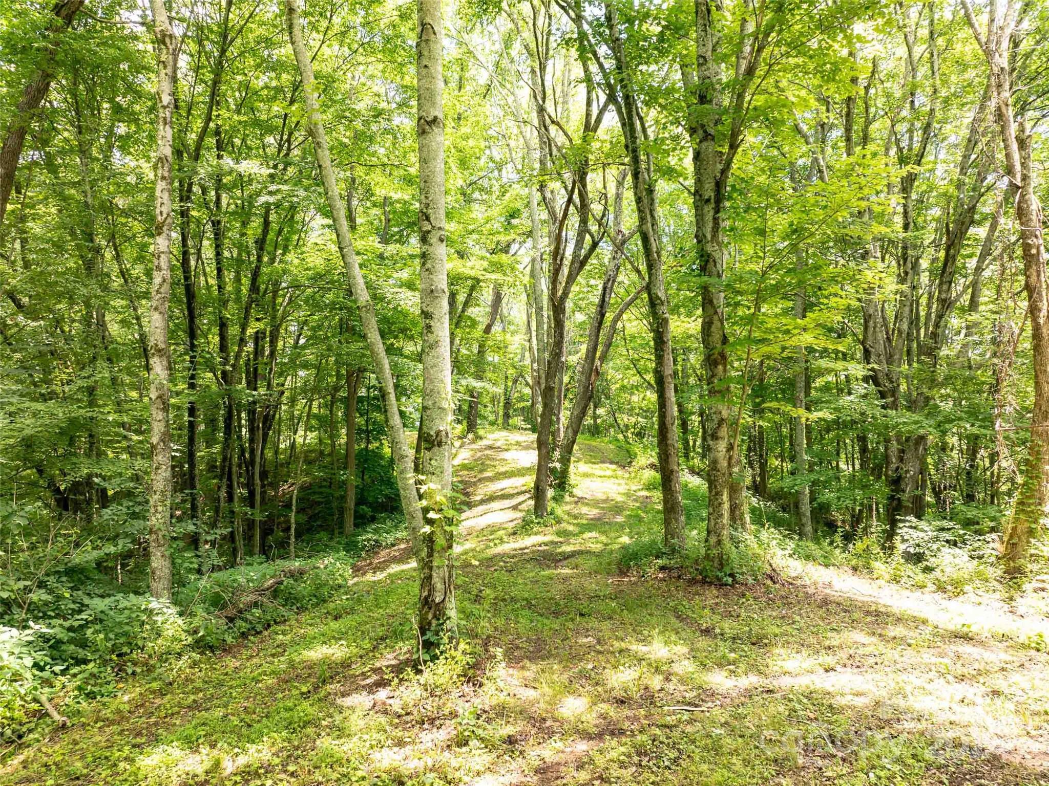 00 Hardy Branch Trail, Waynesville, photo 8 of 8