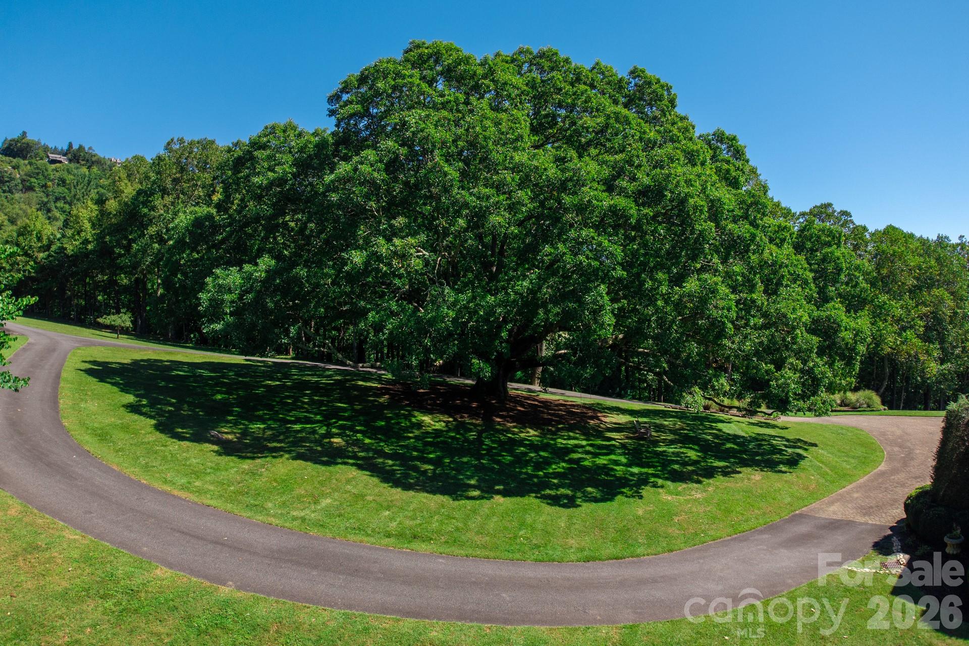733 Dogwood Lane, Blowing Rock, photo 8 of 8