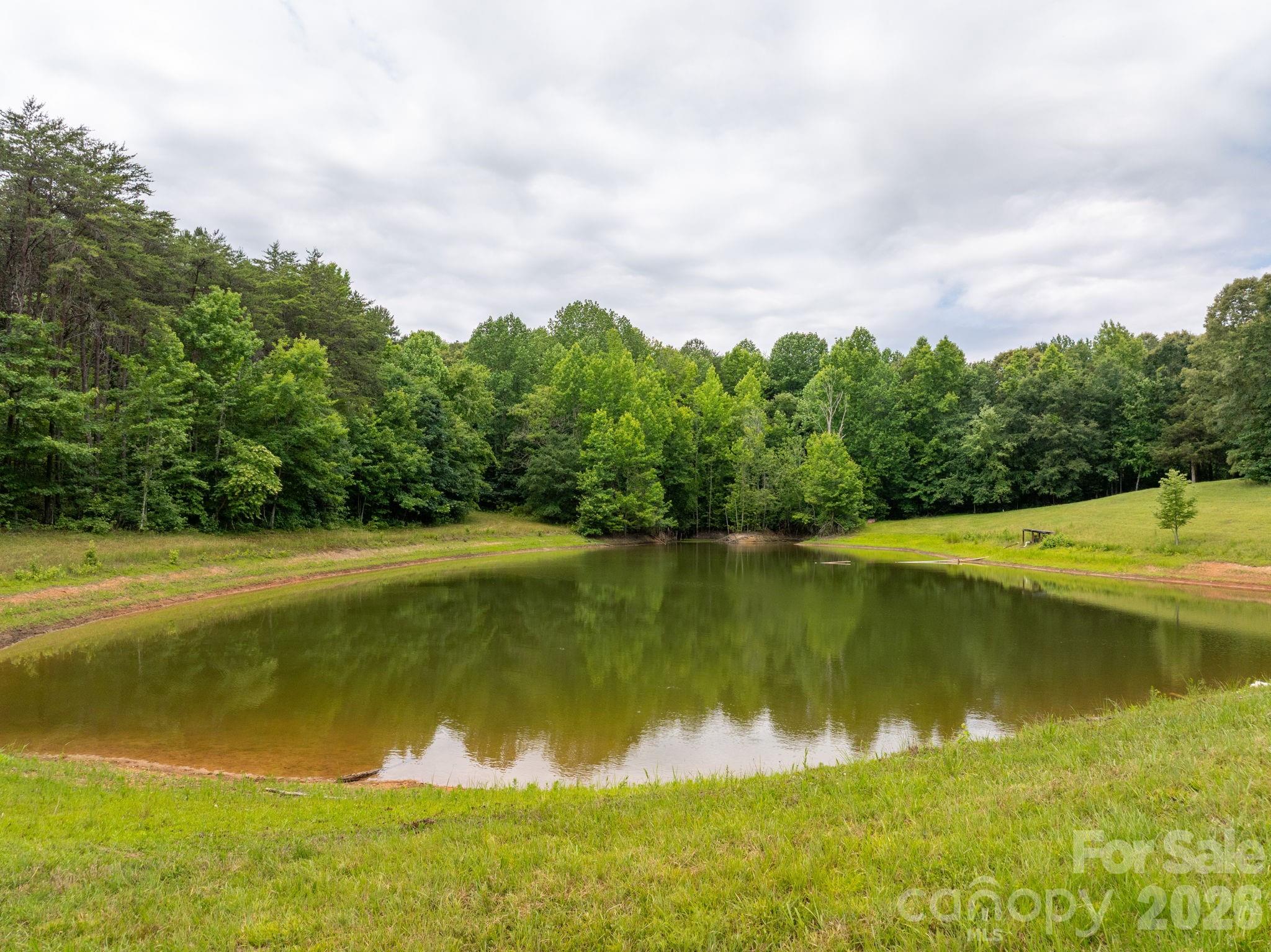 1350 Lee Cudd Road, Rutherfordton, photo 8 of 8