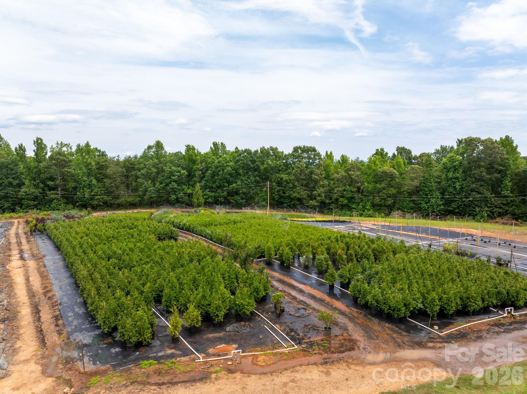 1350 Lee Cudd Road, Rutherfordton, photo 4 of 8
