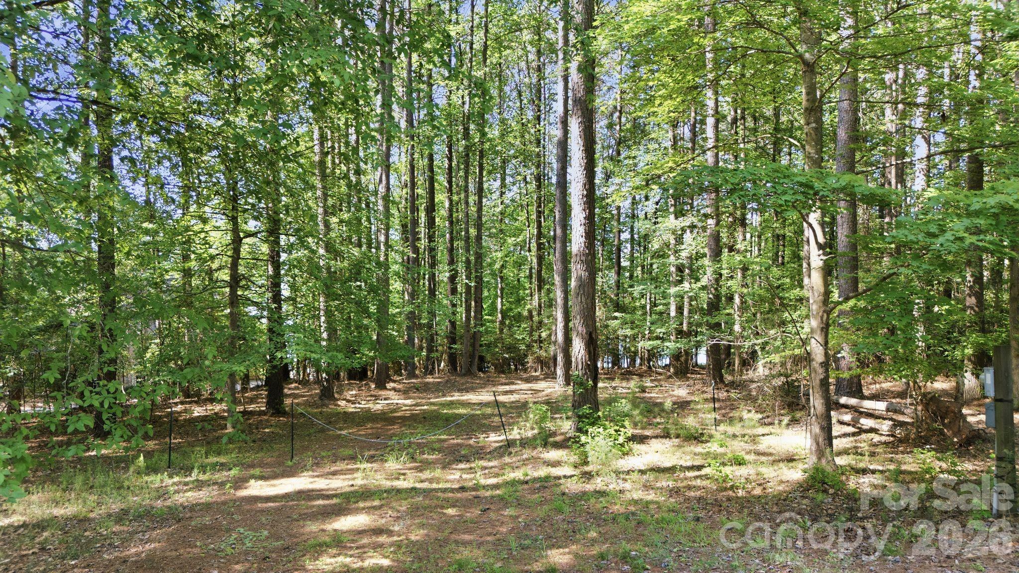 161 Eagle Chase Lane, Troutman, photo 6 of 8