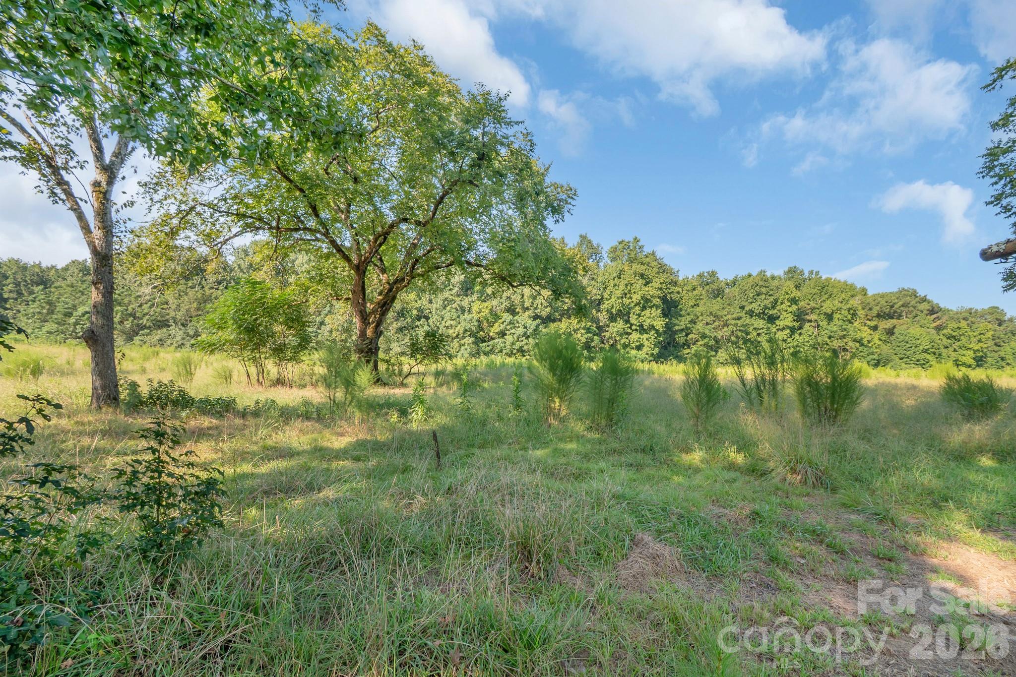 6948 Flat Rock Road, Heath Springs, photo 5 of 8