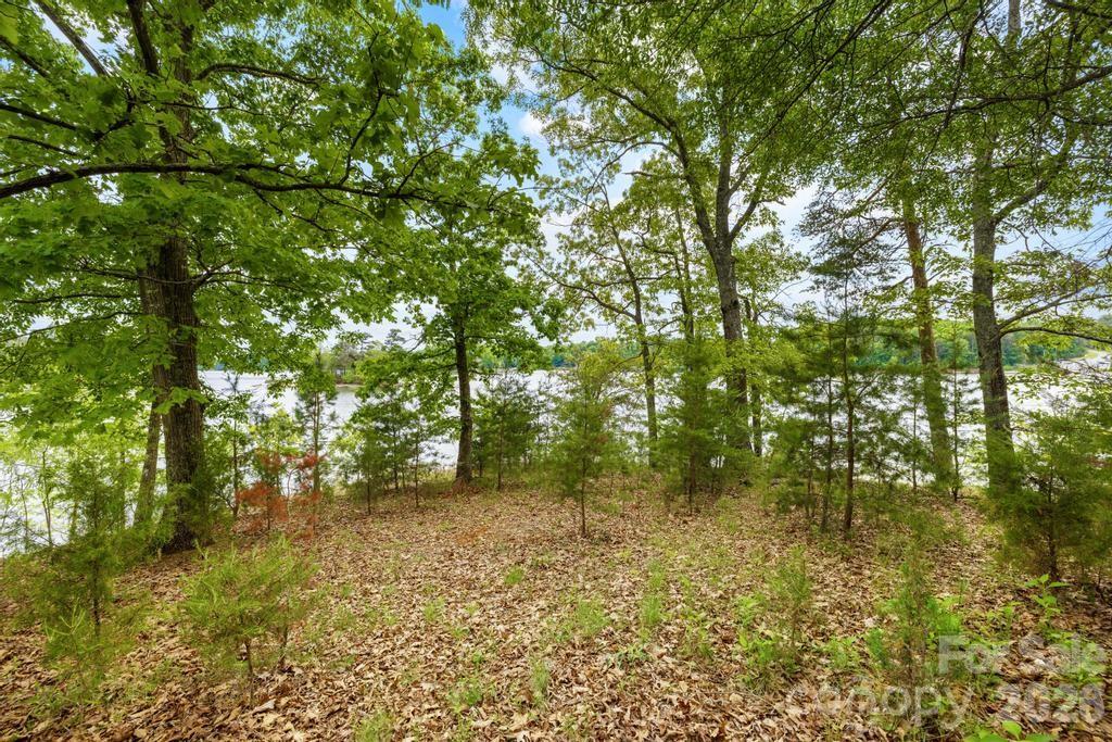 265 S Harbor Watch Drive, Statesville, photo 8 of 8