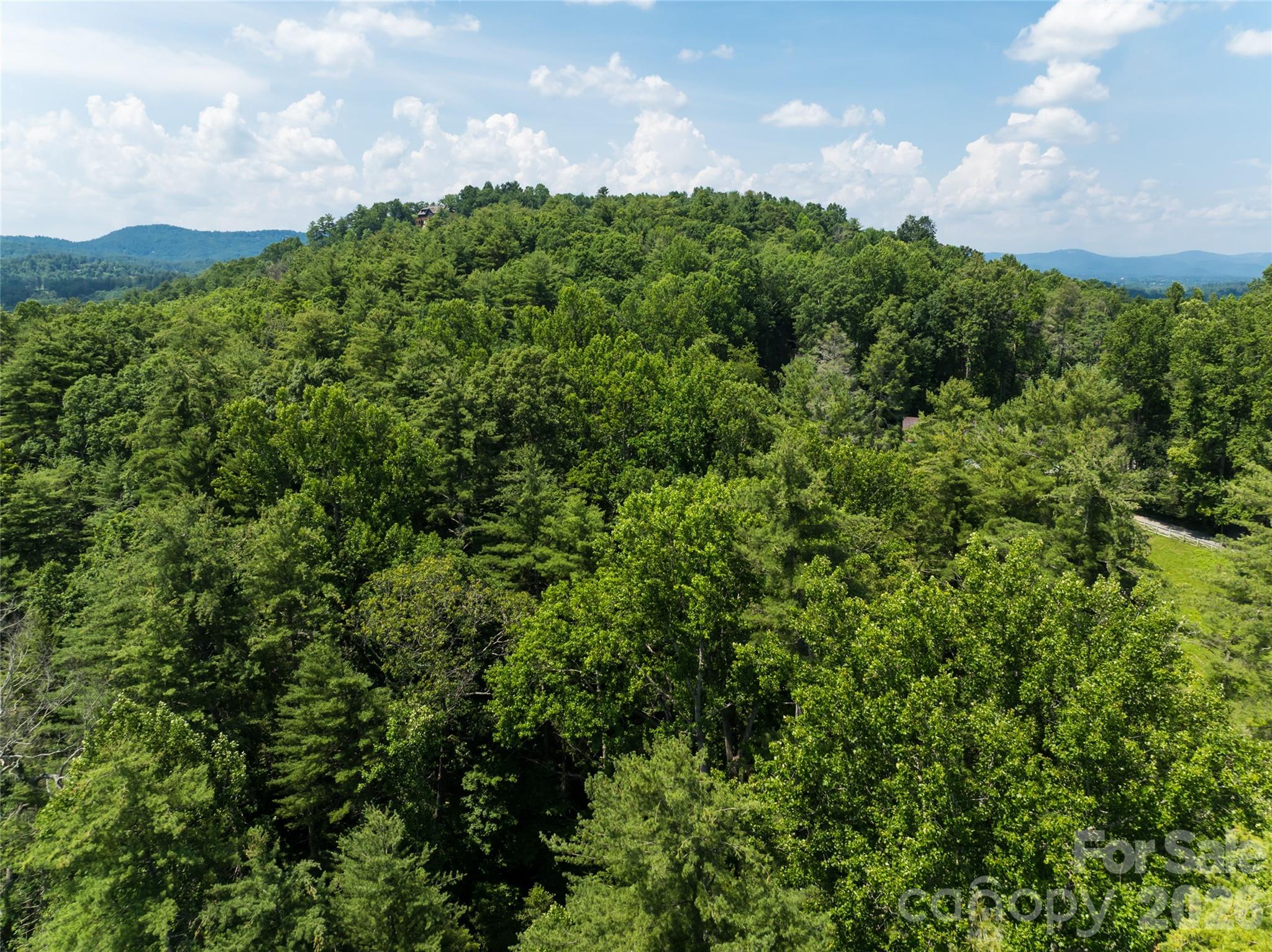 34 Oak Gate Drive, Hendersonville, photo 6 of 8