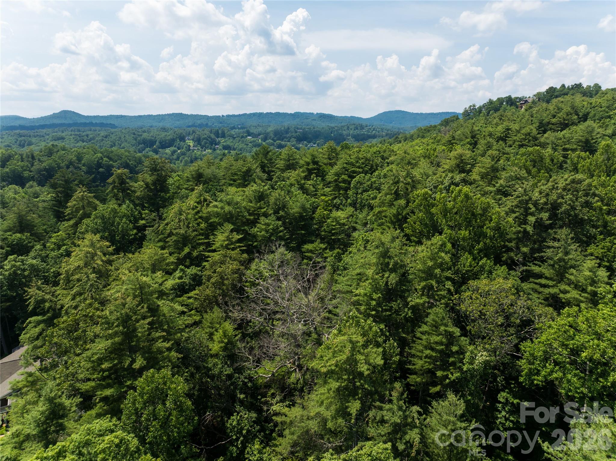 34 Oak Gate Drive, Hendersonville, photo 8 of 8