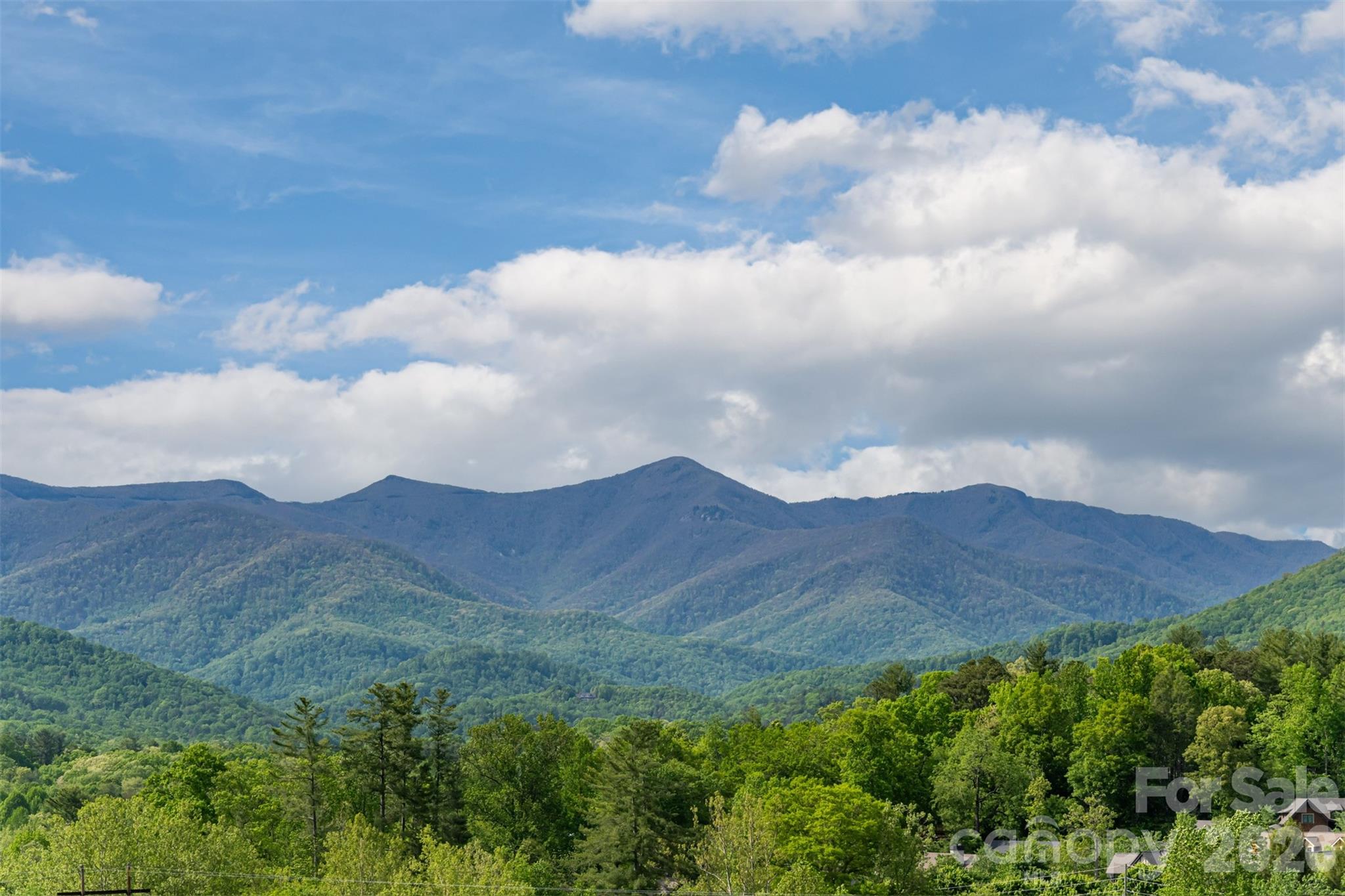25 Rantis Lane, Black Mountain, photo 6 of 8