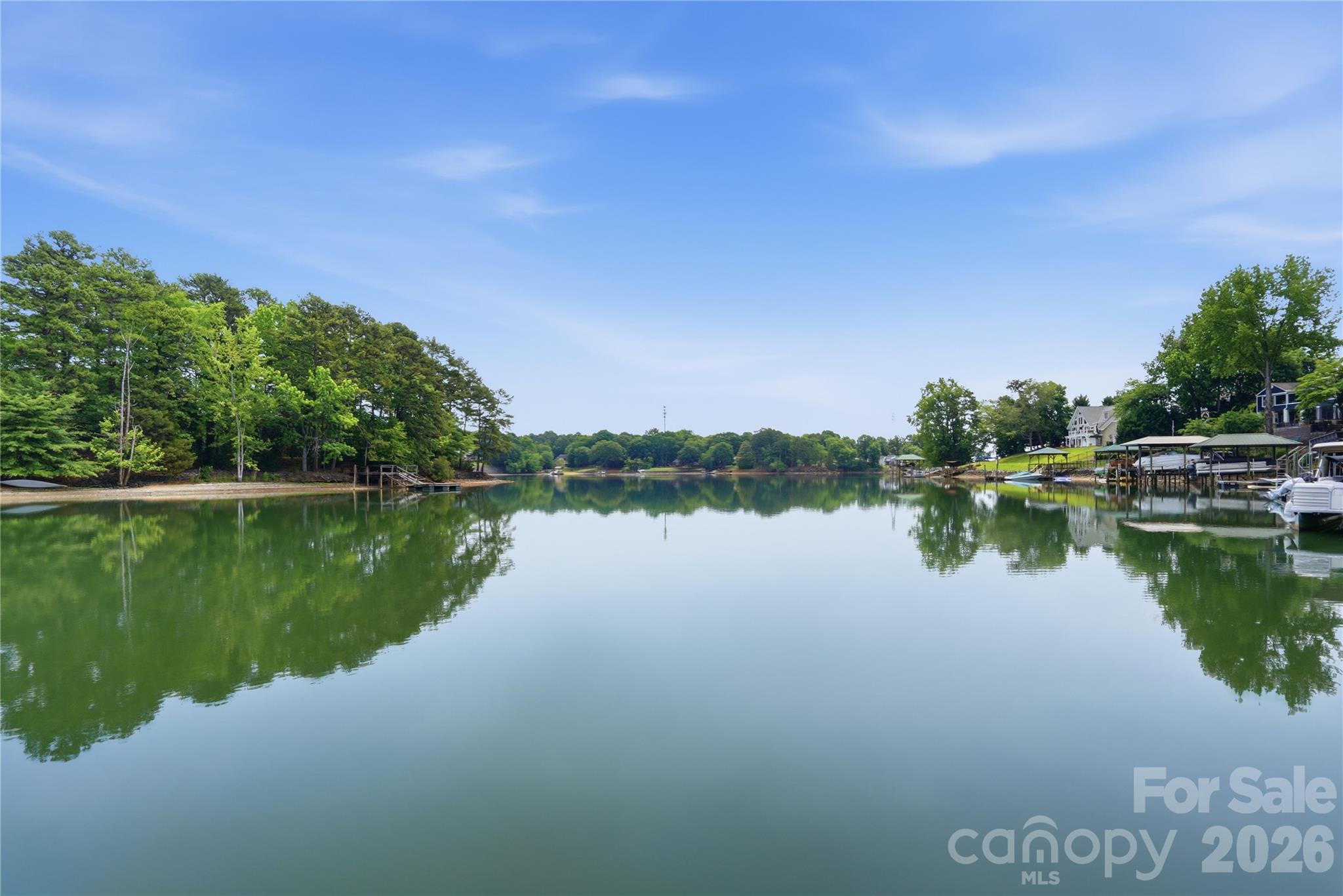 1113 Palmyra Drive, Tega Cay, photo 1 of 8