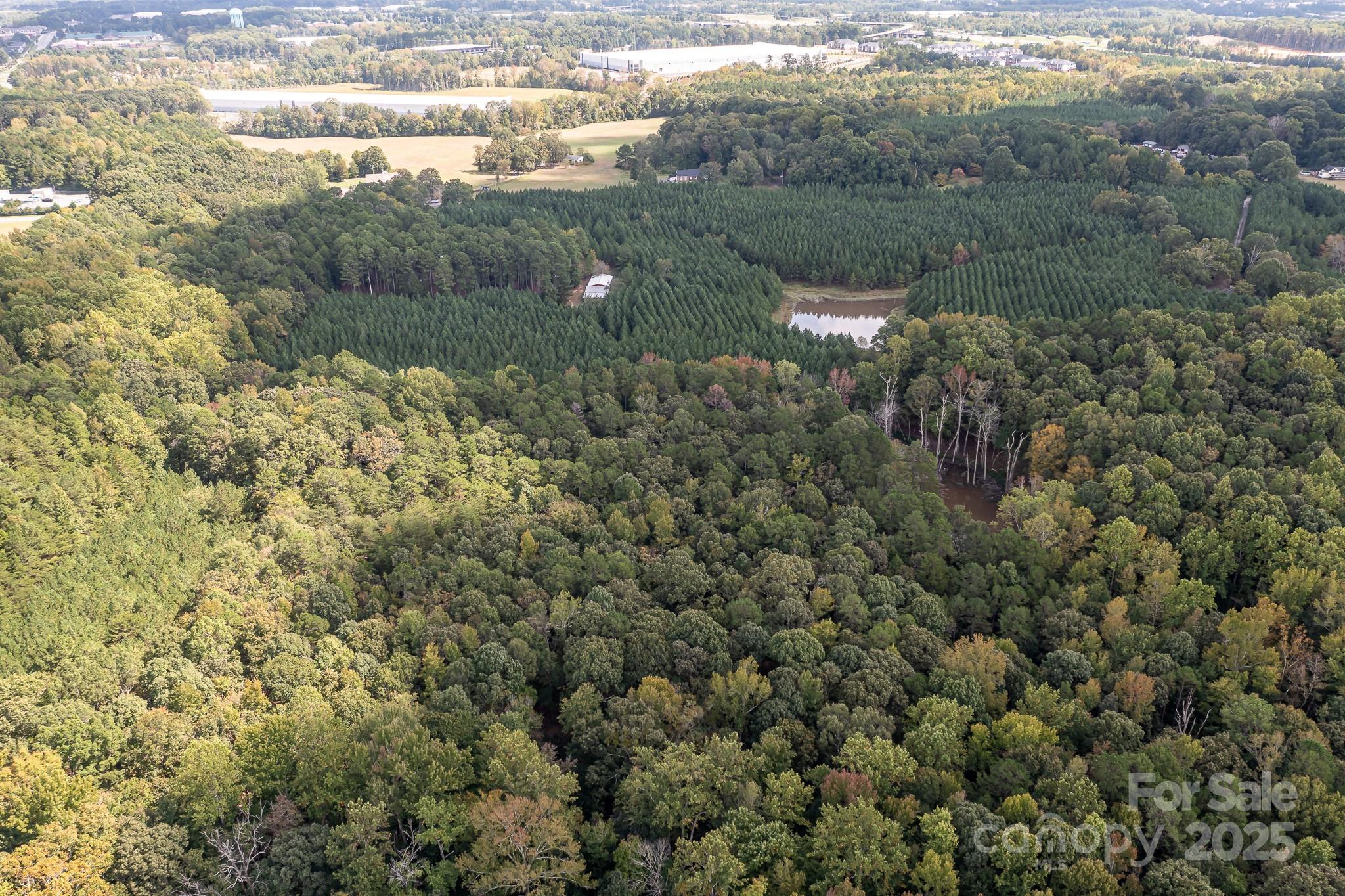 11001 Mount Holly Hntrsvlle Road, Huntersville, photo 5 of 8