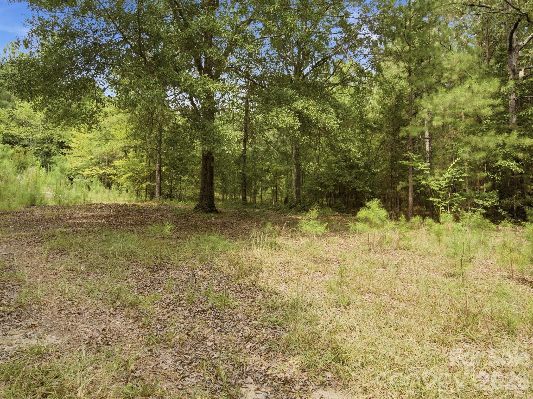 2625/2655 Pleasant Road, Fort Mill, photo 7 of 8