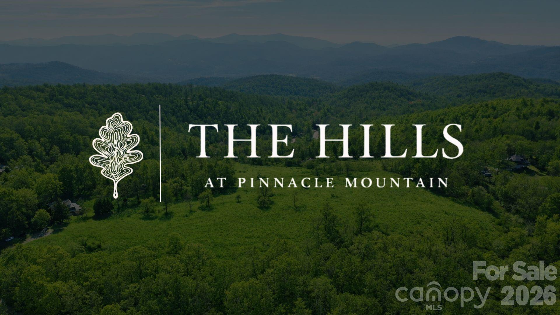 4105 Pinnacle Mountain Road, Zirconia, photo 1 of 8