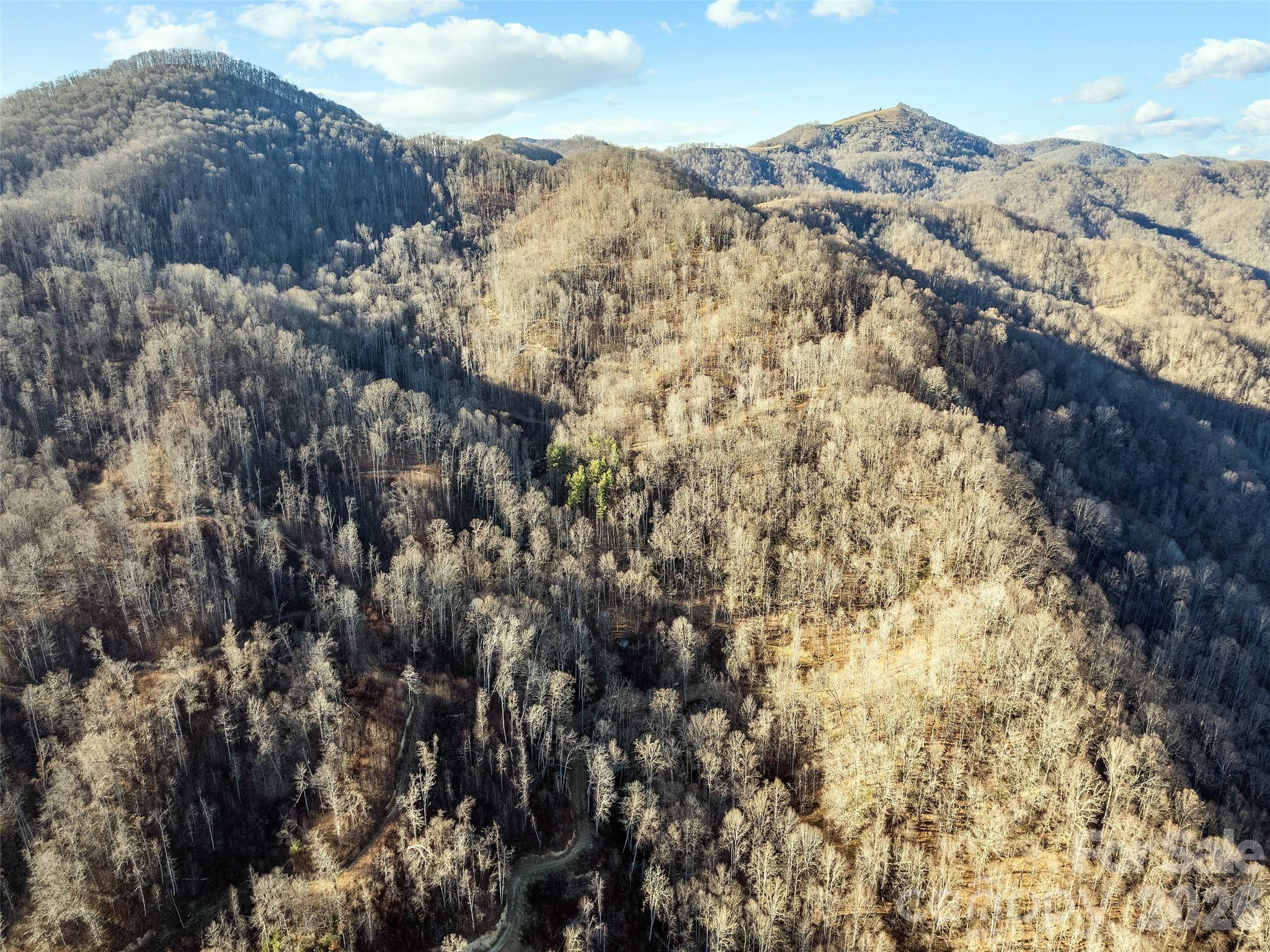 00 Nc 209 Highway, Spring Creek, photo 7 of 8