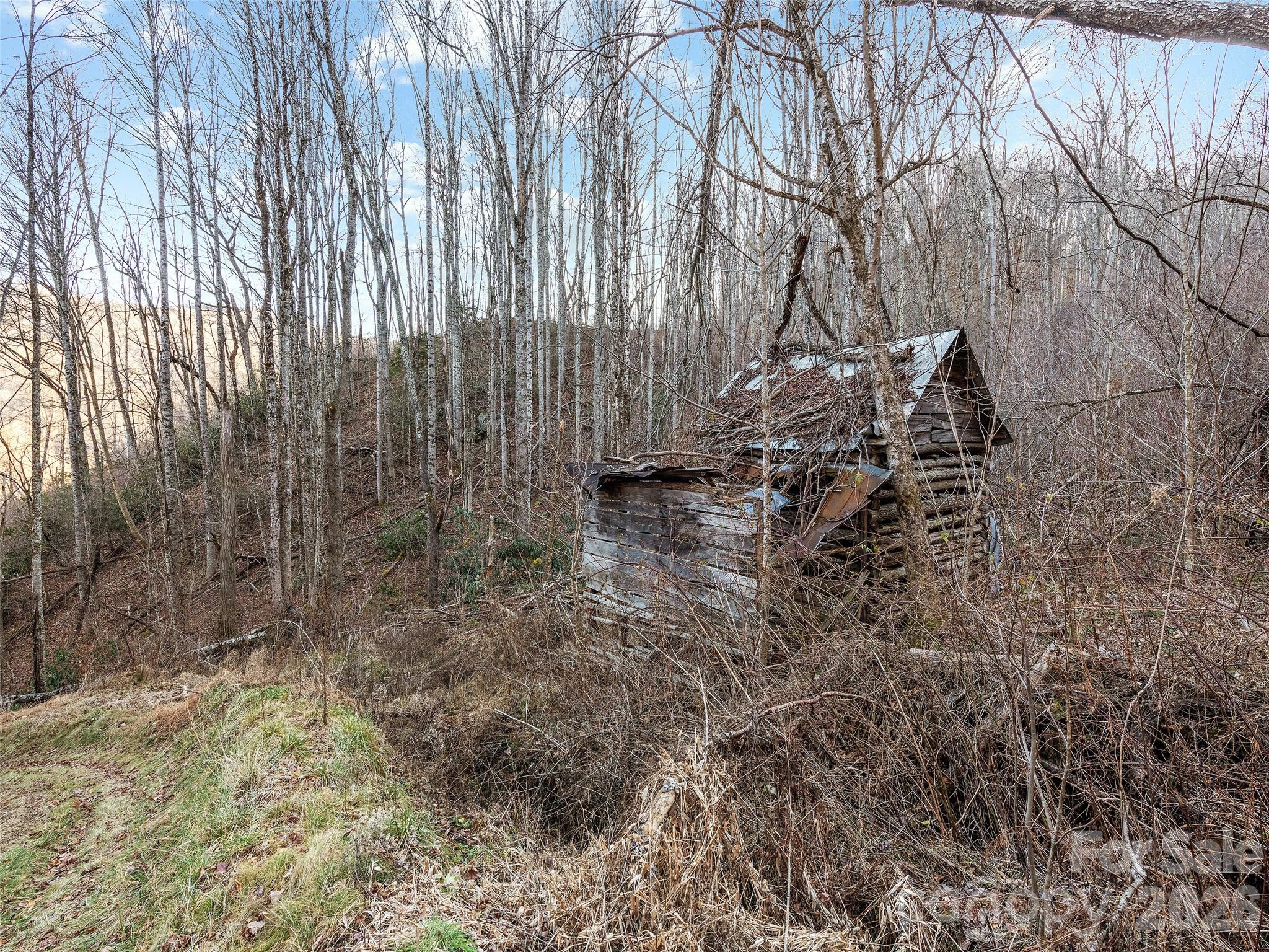 00 Nc 209 Highway, Spring Creek, photo 1 of 8