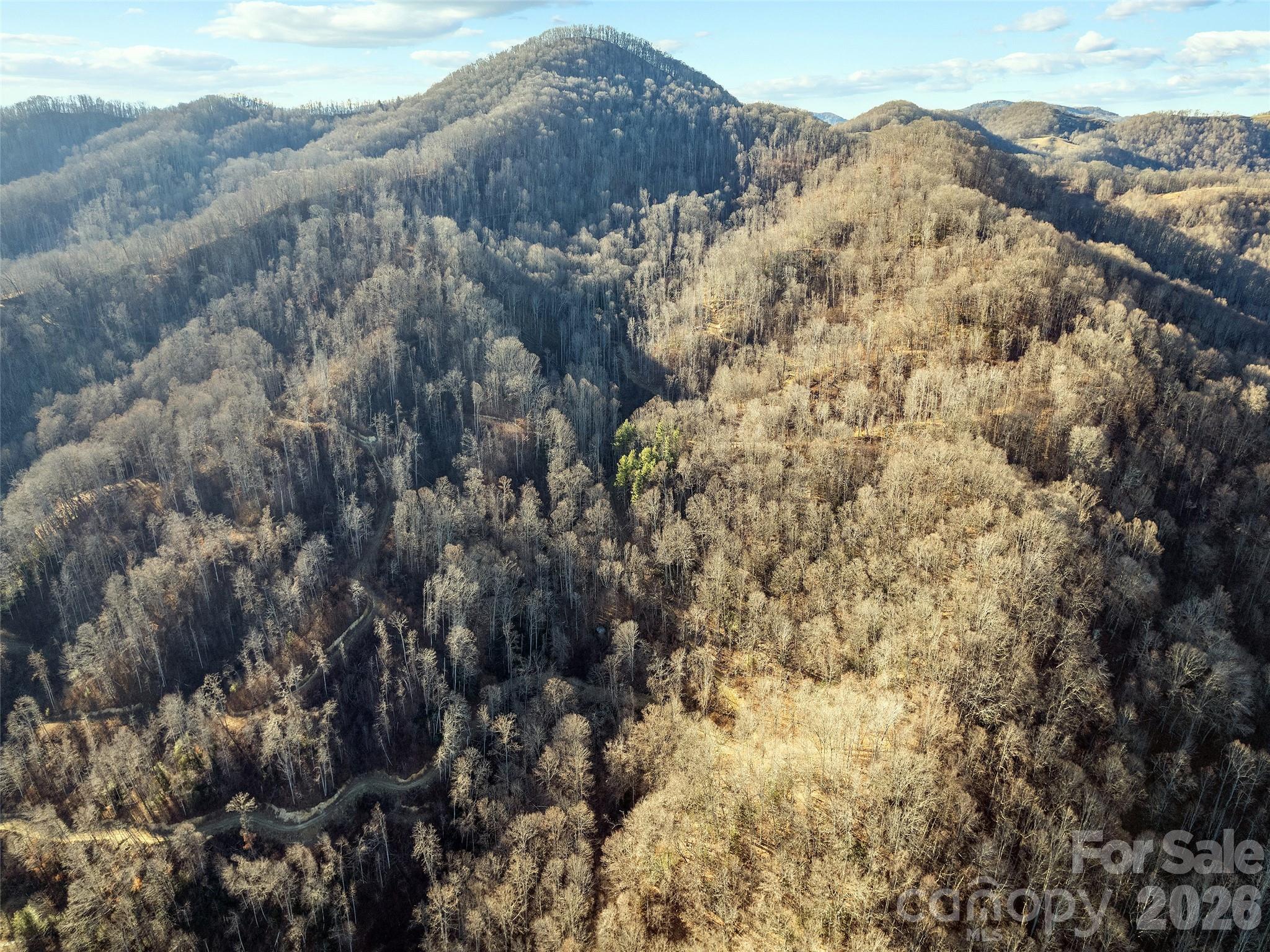00 Nc 209 Highway, Spring Creek, photo 5 of 8