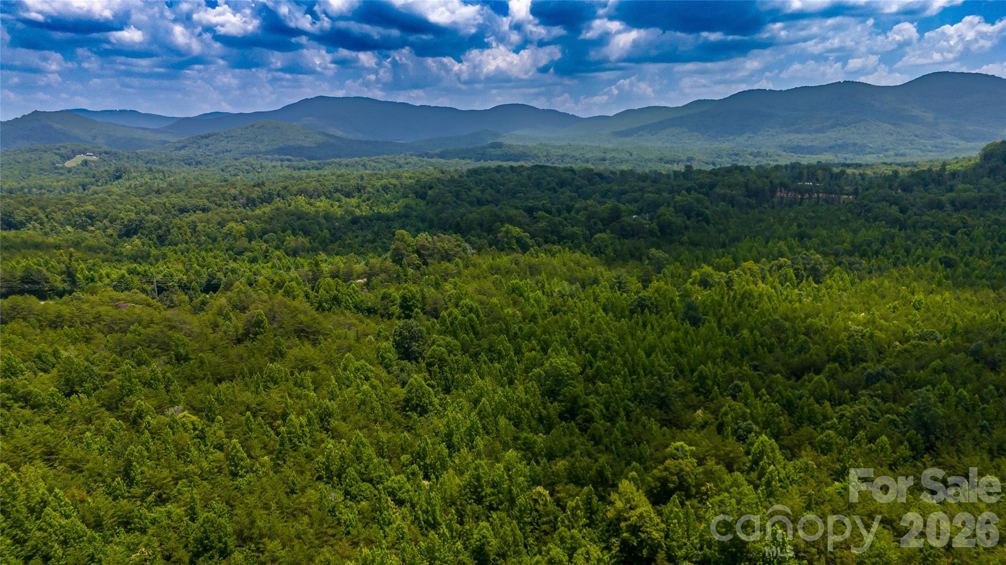 0 Gold Mine Road, Morganton, photo 2 of 8