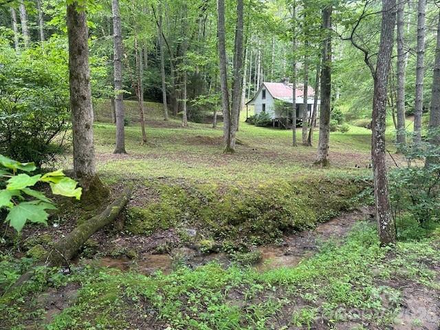 0 Mountain Forest Estates Road, Sylva, photo 4 of 8