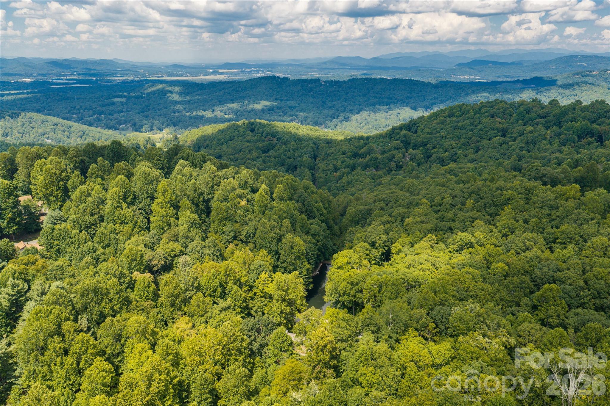 3999 Laurel Park Highway, Hendersonville, photo 3 of 8
