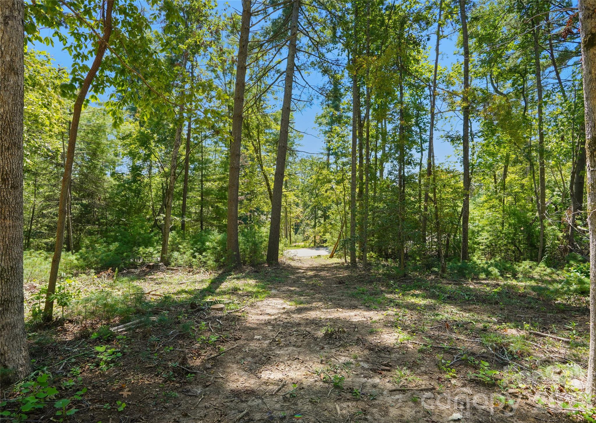 15 Mirehouse Run, Asheville, photo 1 of 8