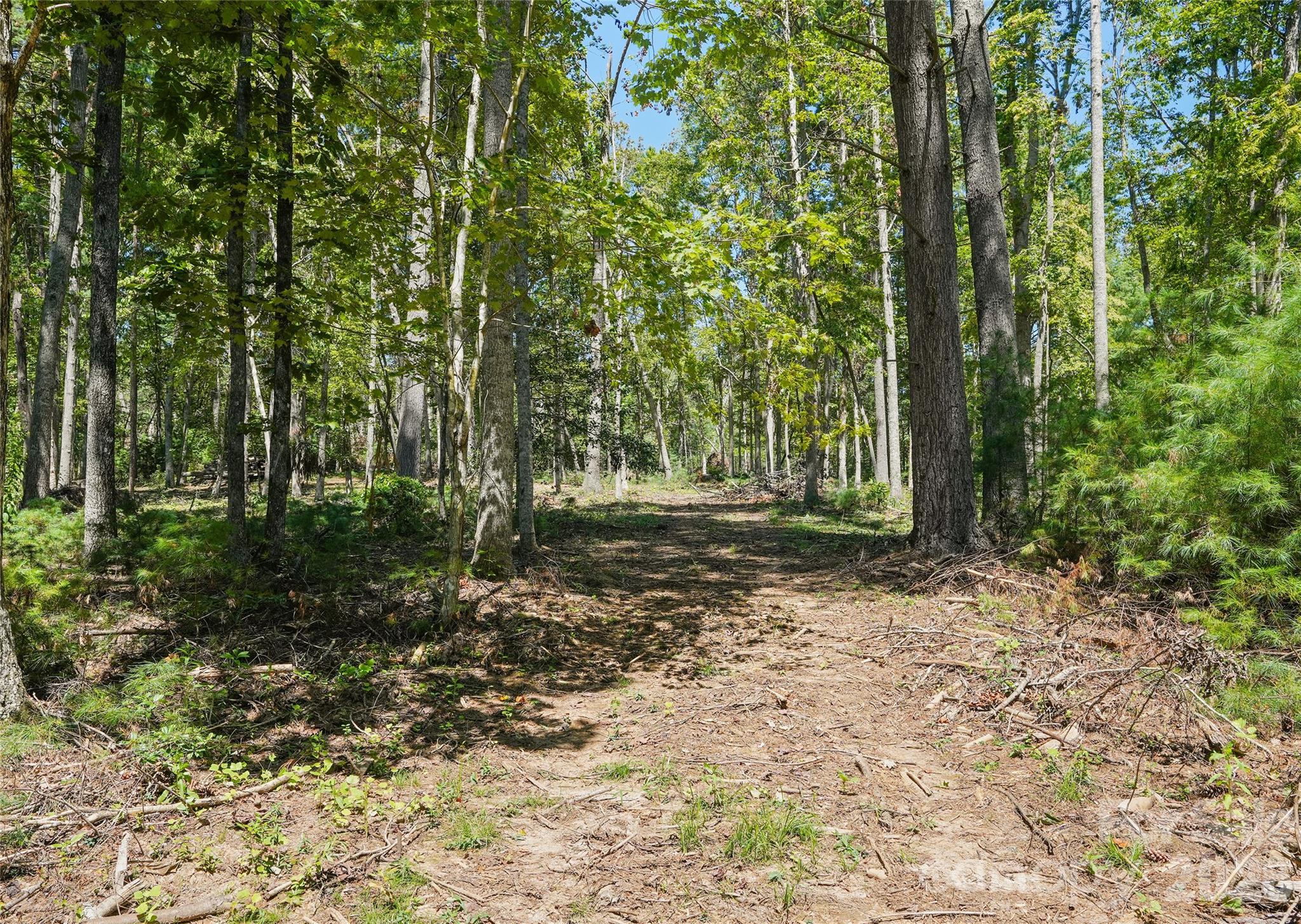 15 Mirehouse Run, Asheville, photo 2 of 8