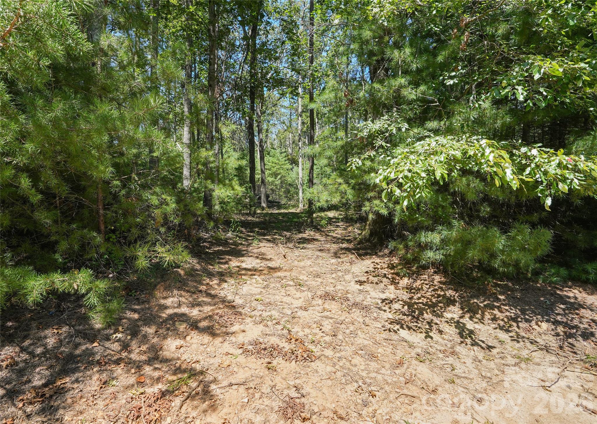 15 Mirehouse Run, Asheville, photo 3 of 8