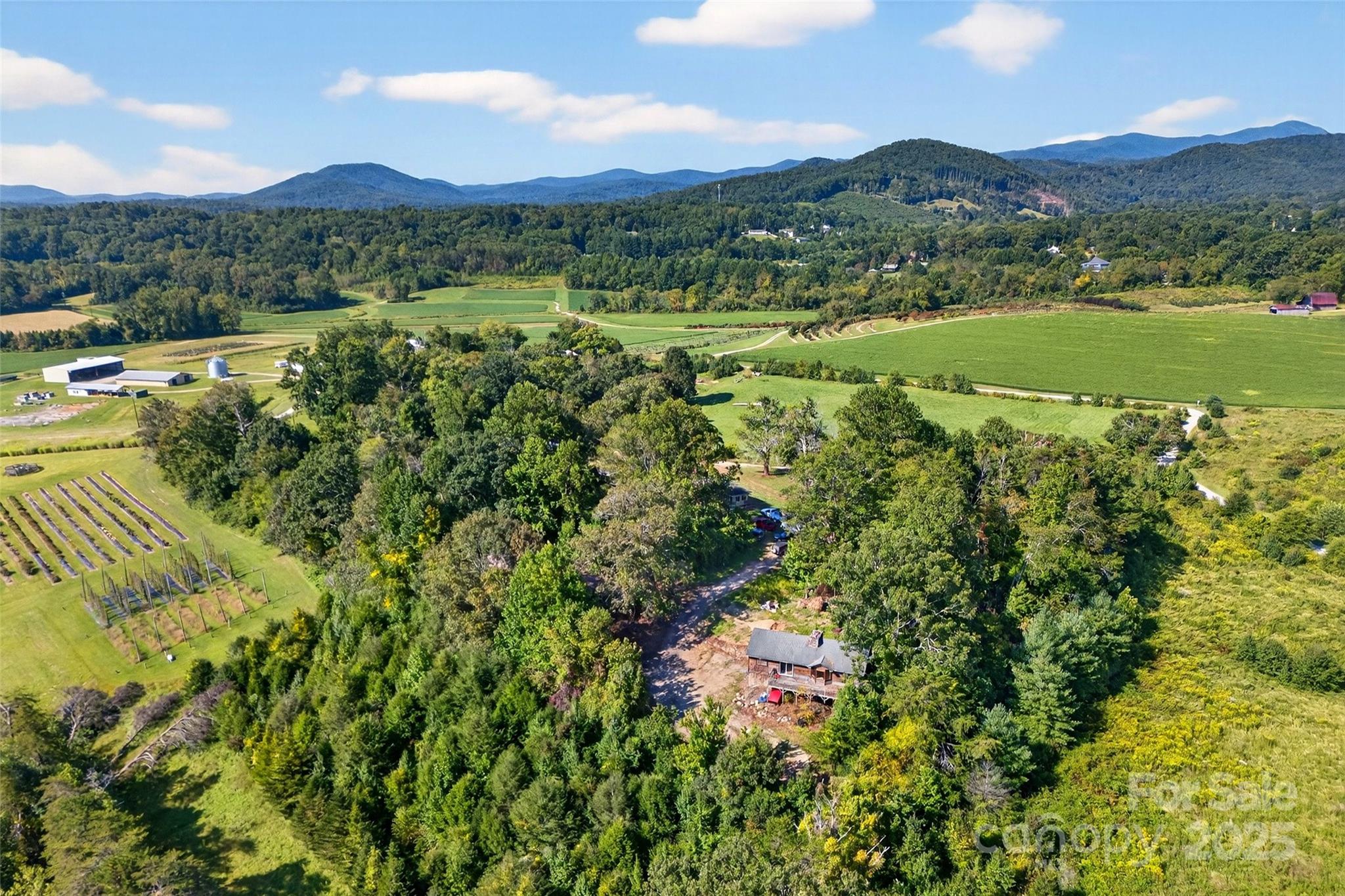 467 Butler Farm Road, Mills River, photo 8 of 8