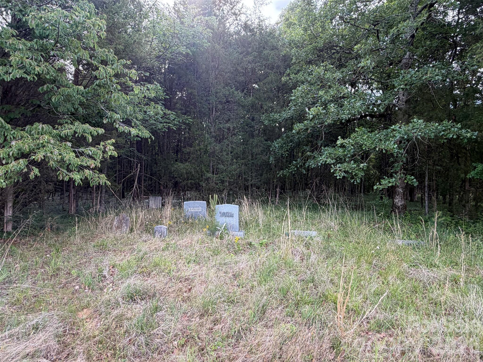 59 Ac Lancaster Hwy Highway, Chester, photo 6 of 8