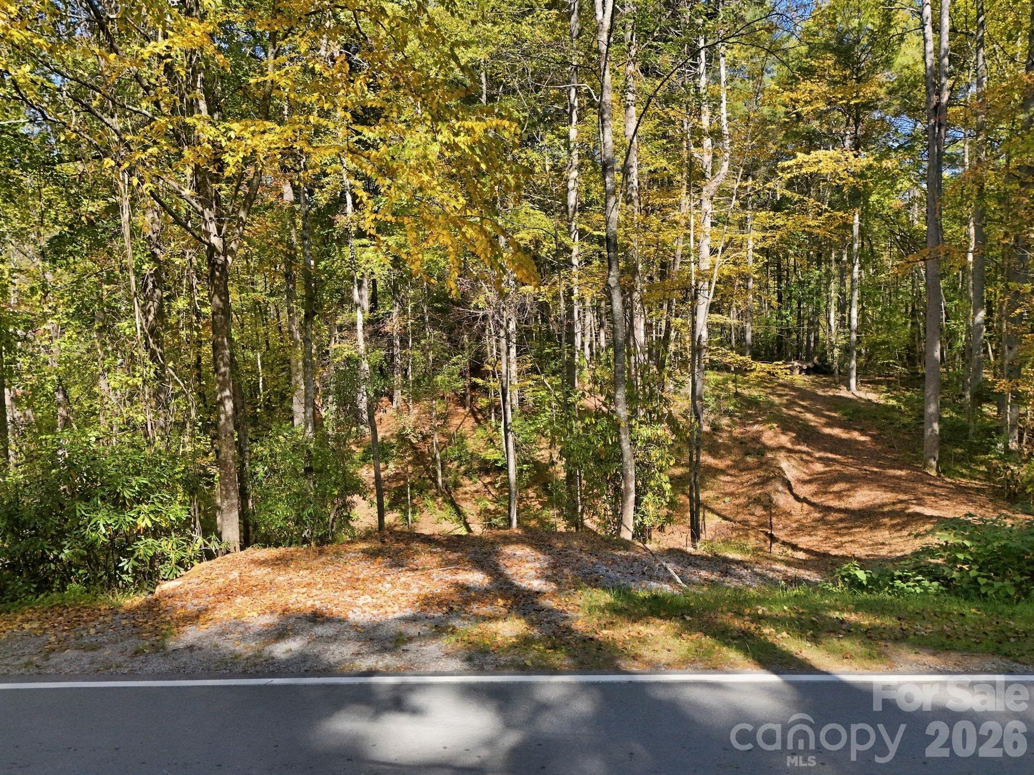2230 Evans Road, Hendersonville, photo 8 of 8