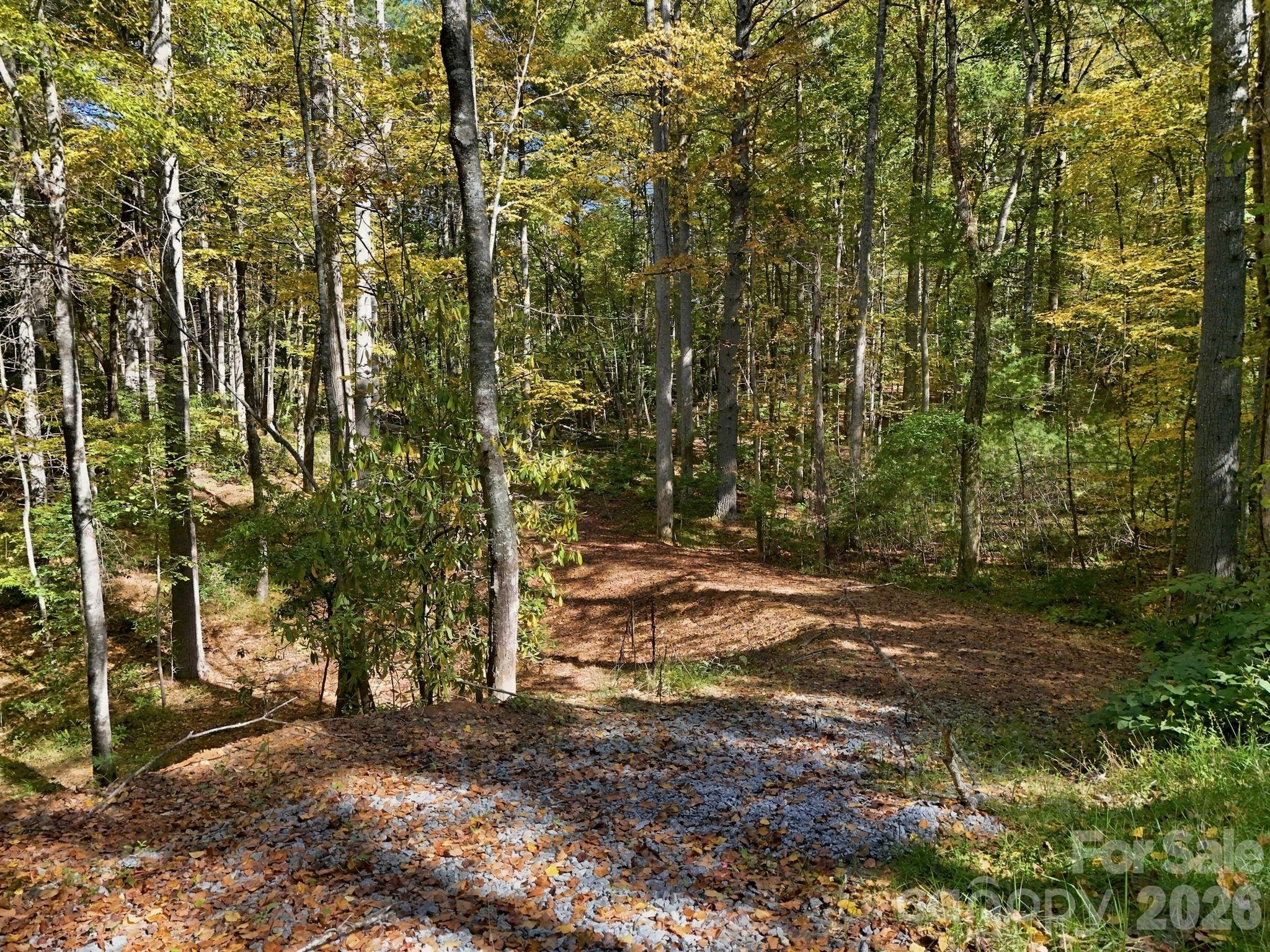 2230 Evans Road, Hendersonville, photo 7 of 8