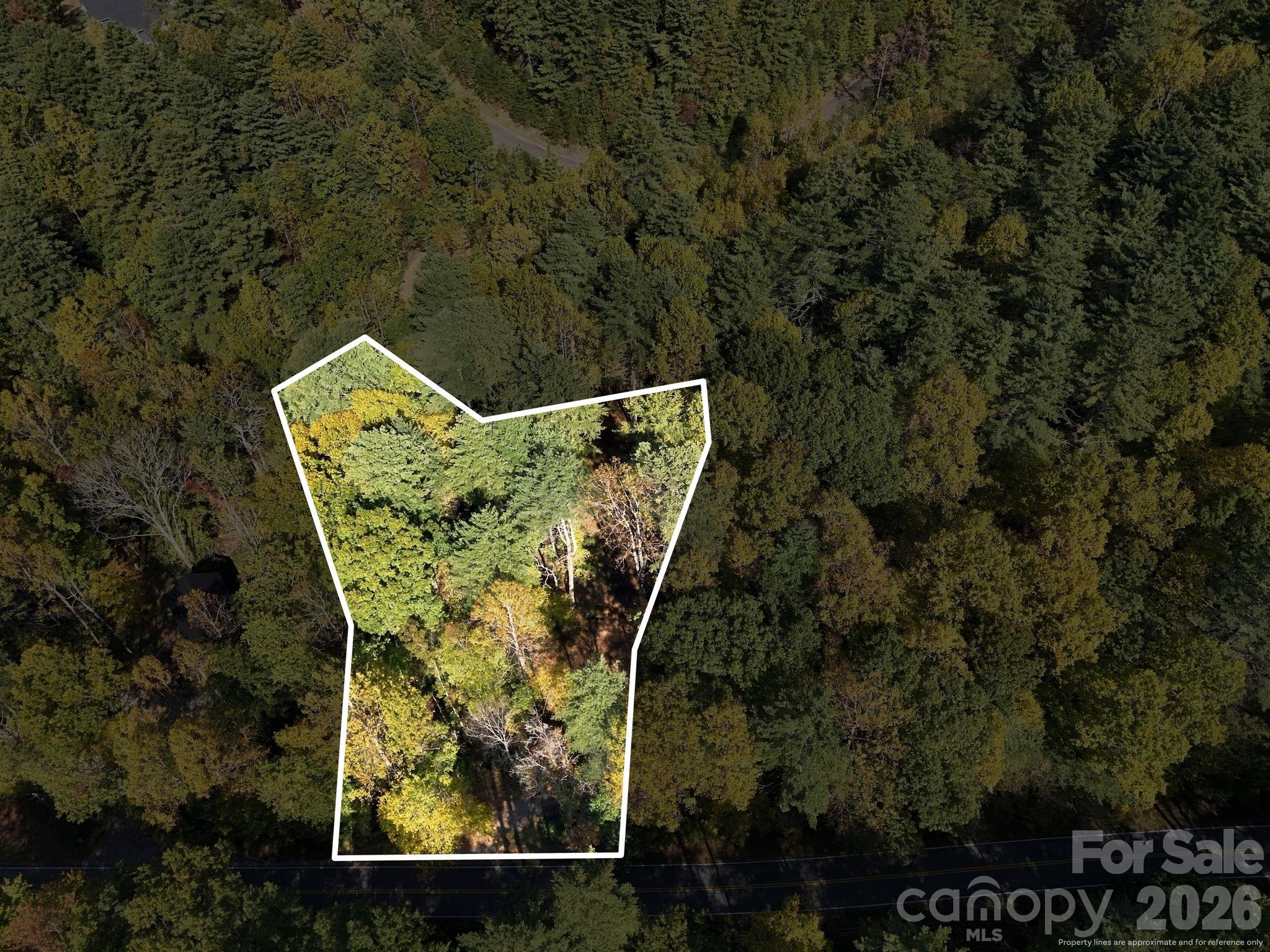 2230 Evans Road, Hendersonville, photo 3 of 8