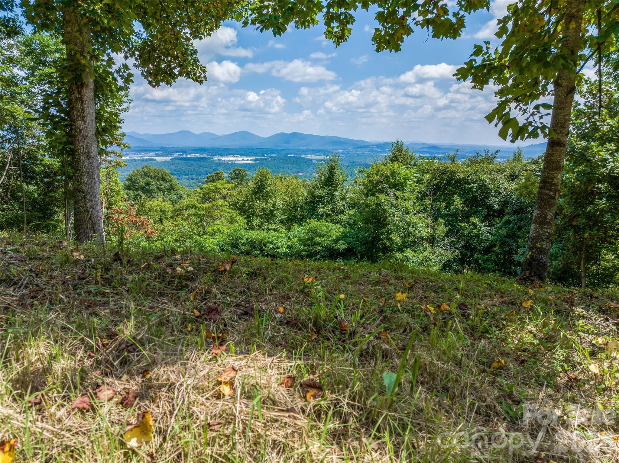 177 Rolling Stone Court #61, Arden, photo 1 of 8