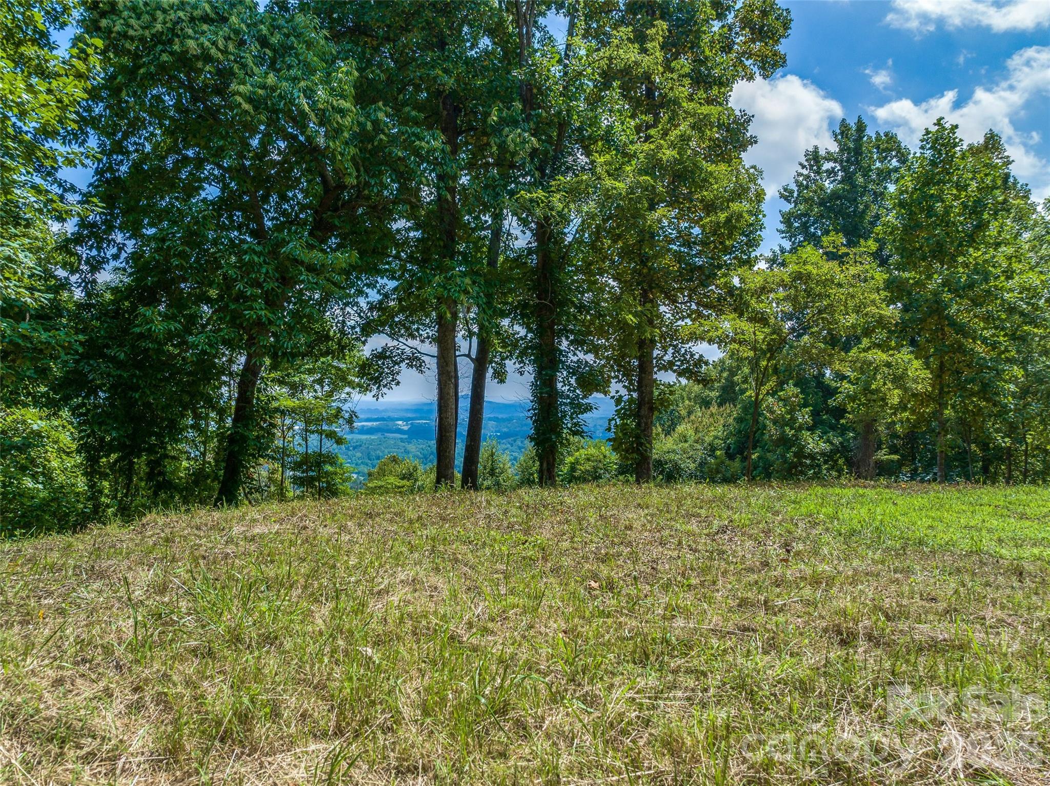 177 Rolling Stone Court #61, Arden, photo 6 of 8