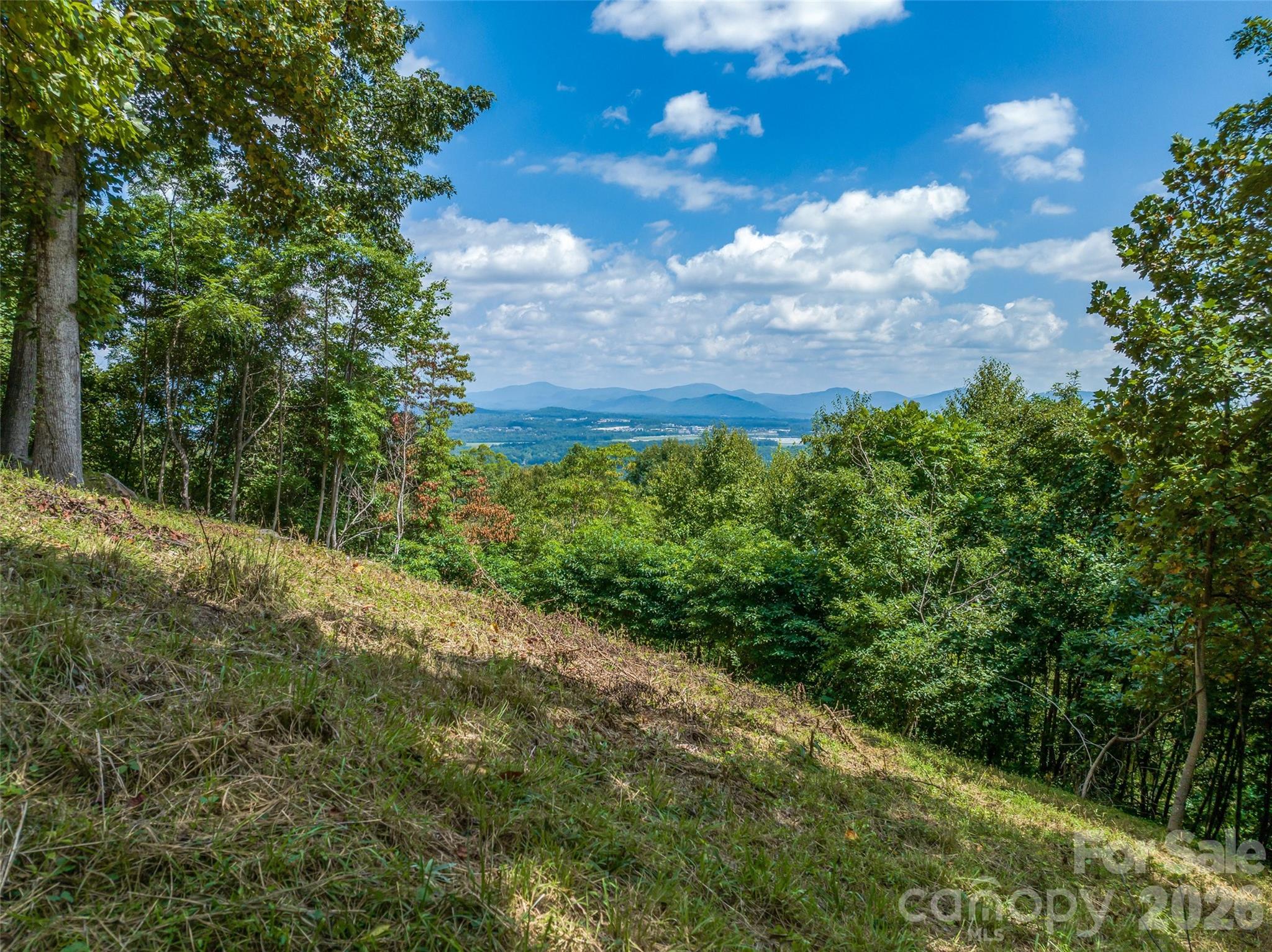 177 Rolling Stone Court #61, Arden, photo 5 of 8