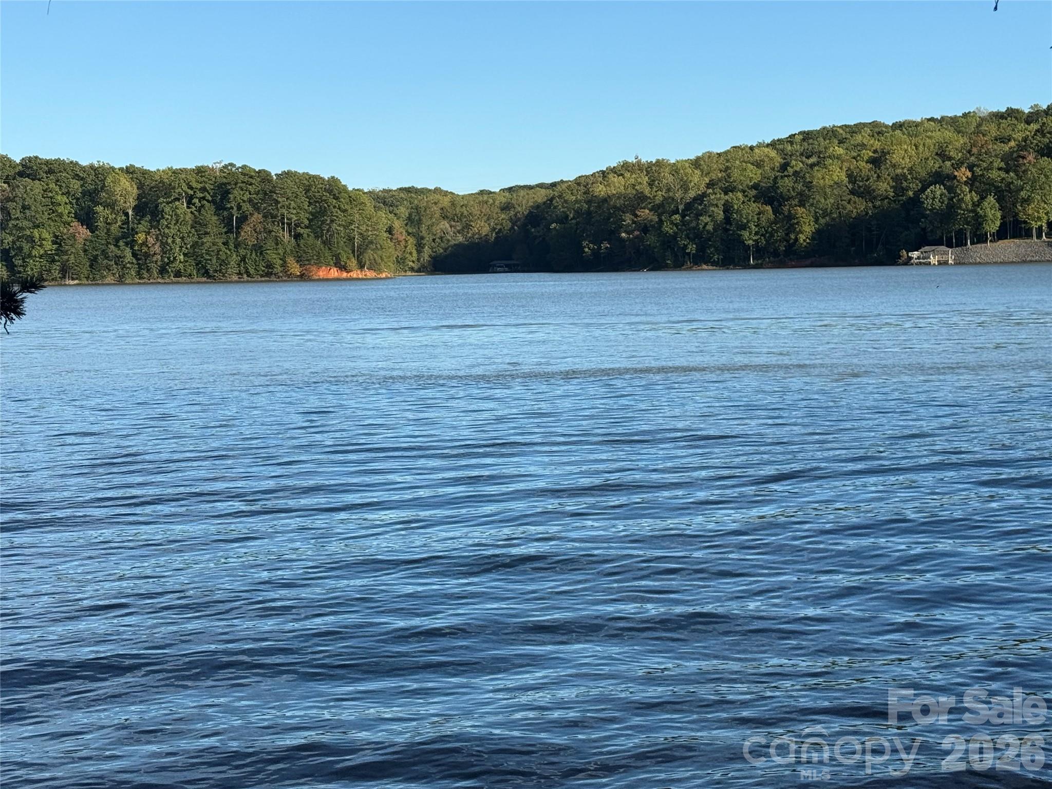 1222 Great Egret Drive, Clover, photo 1 of 8
